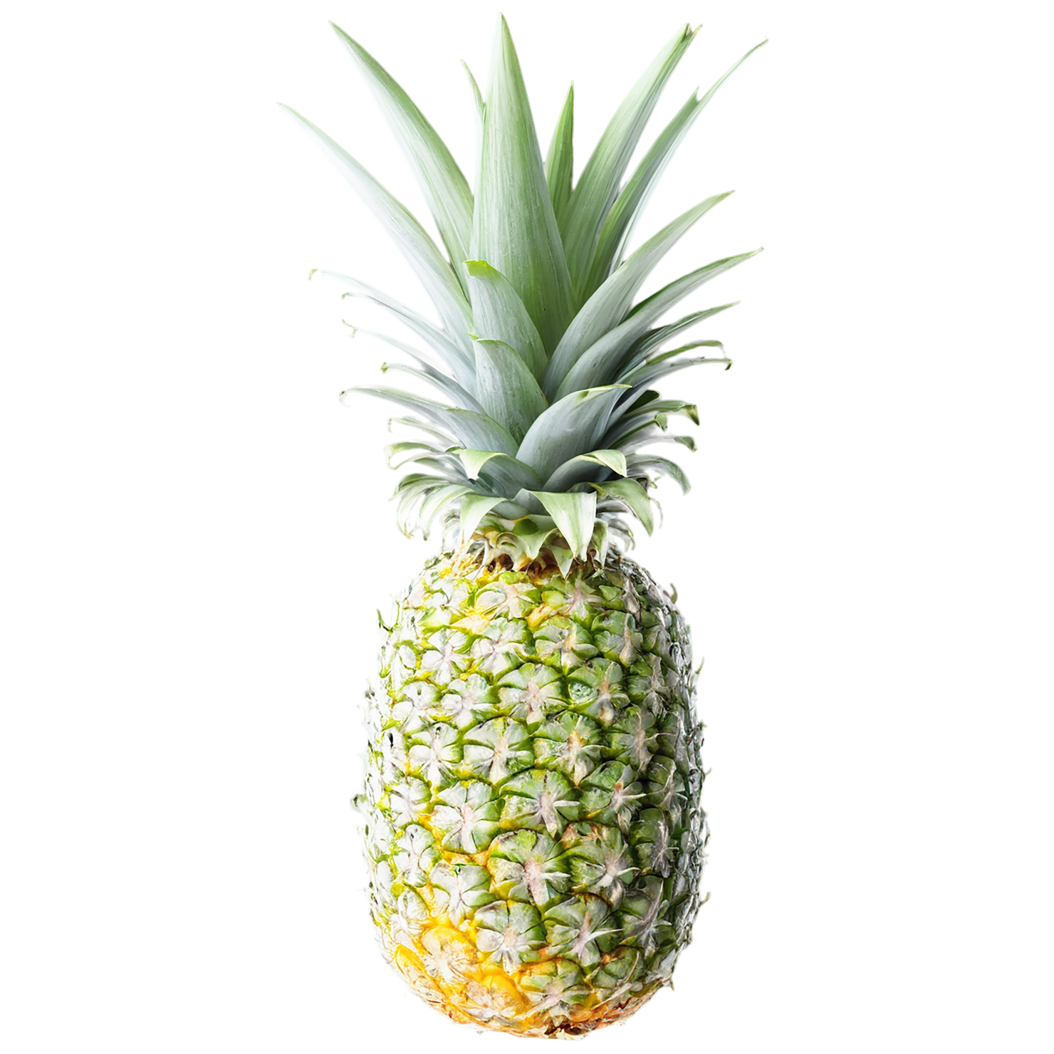 Pineapple fruit isolated on transparent background #1485