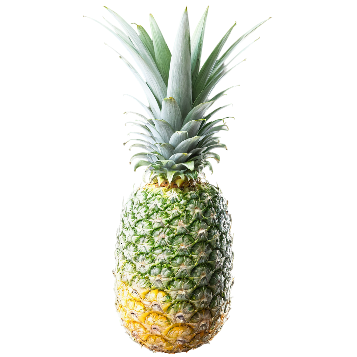 Pineapple fruit isolated on transparent background #1489