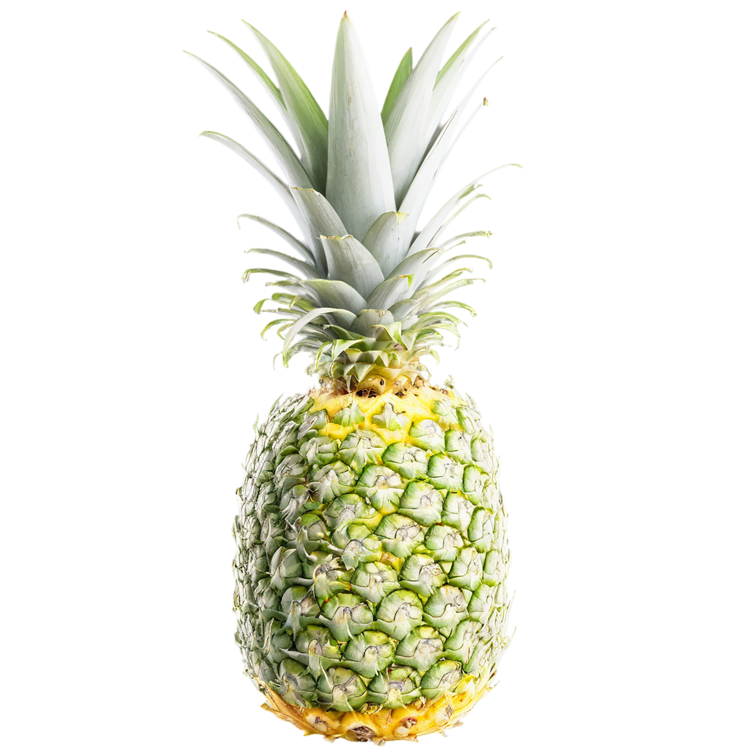 Pineapple fruit isolated on transparent background #1493
