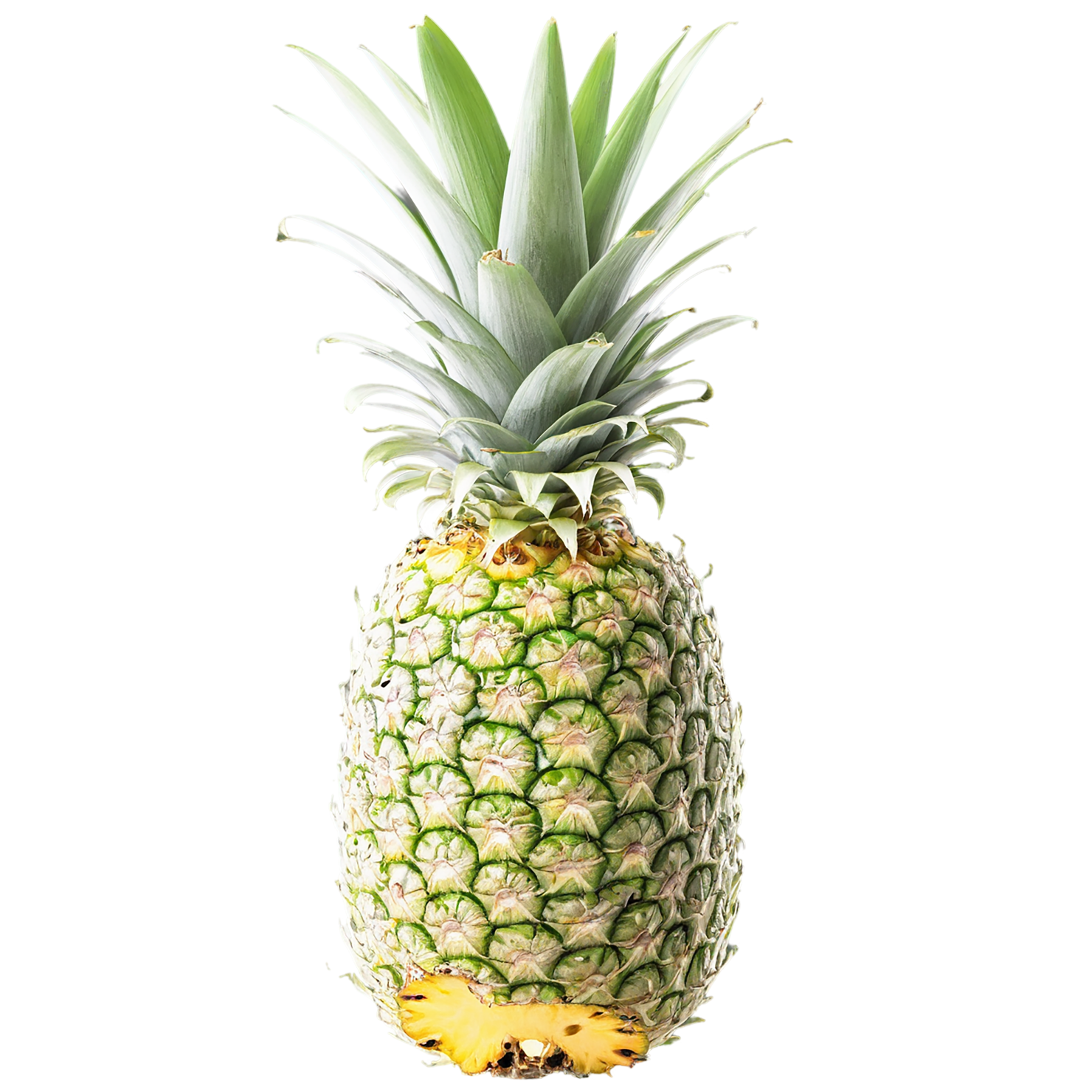 Pineapple fruit isolated on transparent background #1494