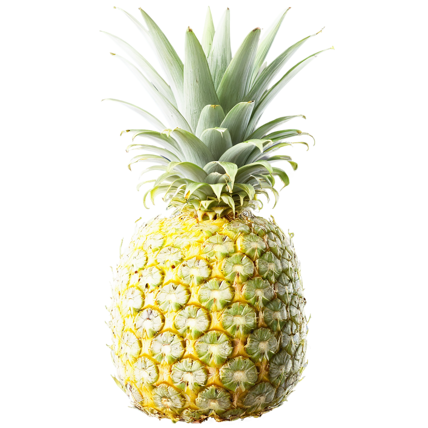Pineapple fruit isolated on transparent background #1495