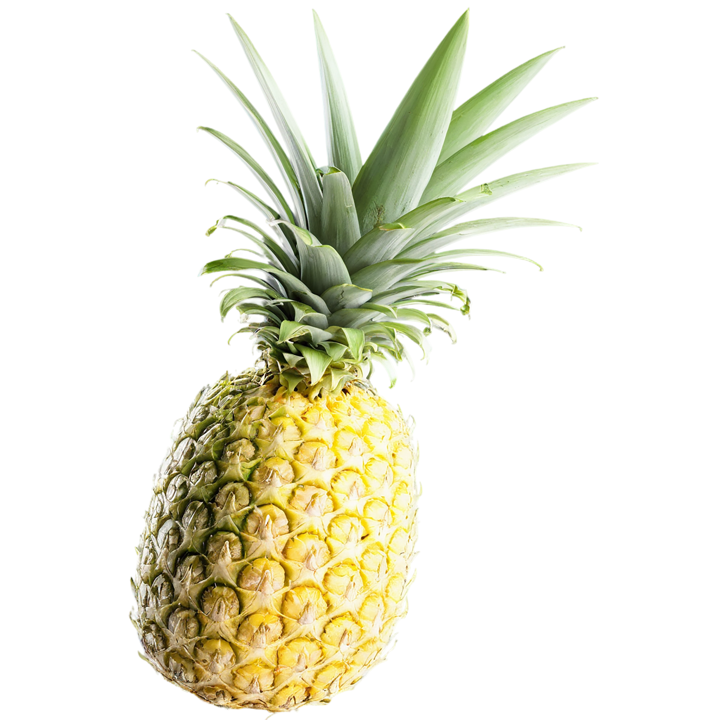 Pineapple fruit isolated on transparent background #1498