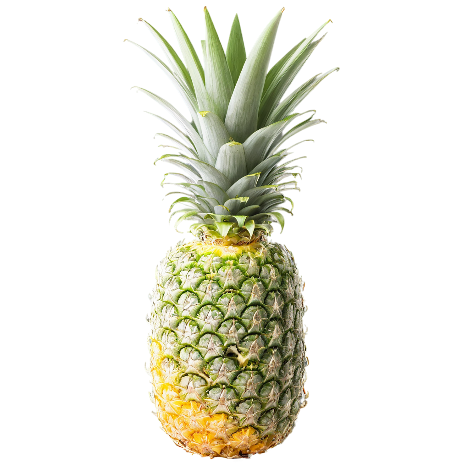 Pineapple fruit isolated on transparent background #1499