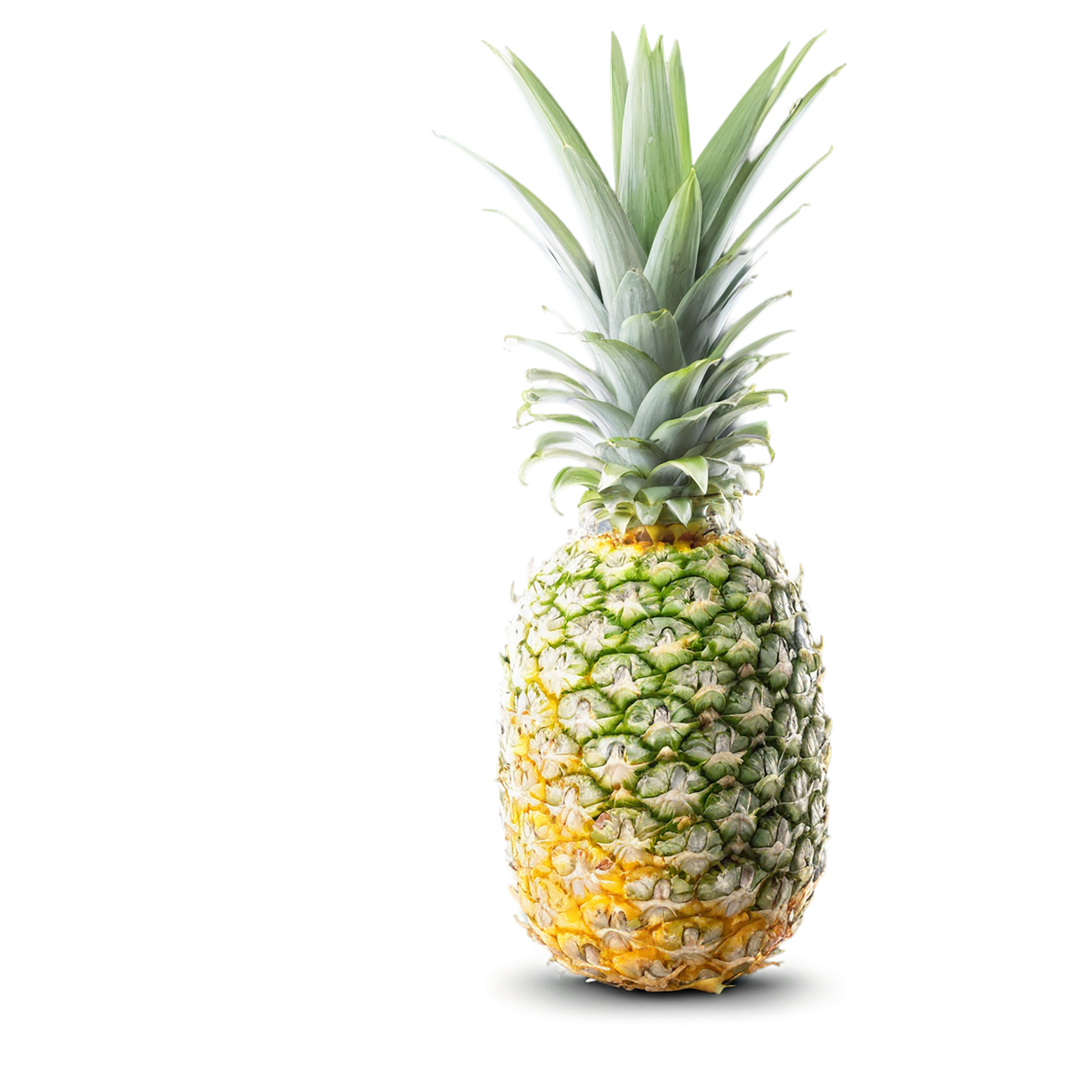 Pineapple fruit isolated on transparent background #1501