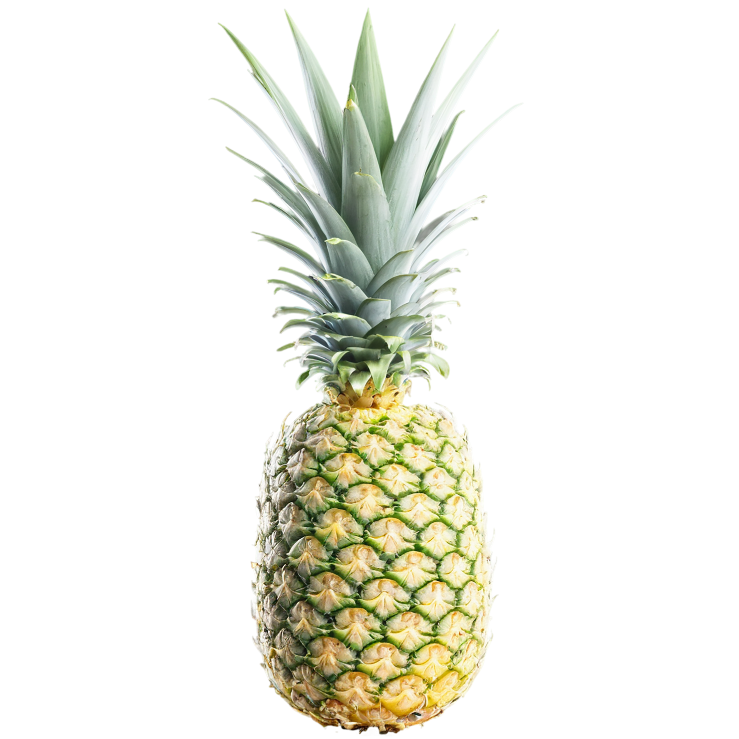Pineapple fruit isolated on transparent background #1502