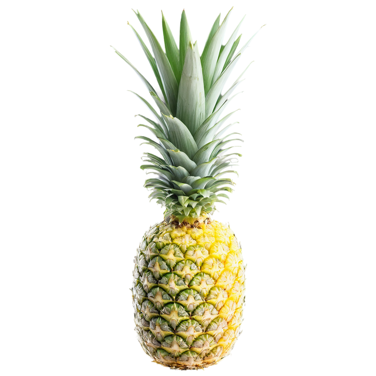 Pineapple fruit isolated on transparent background #1504