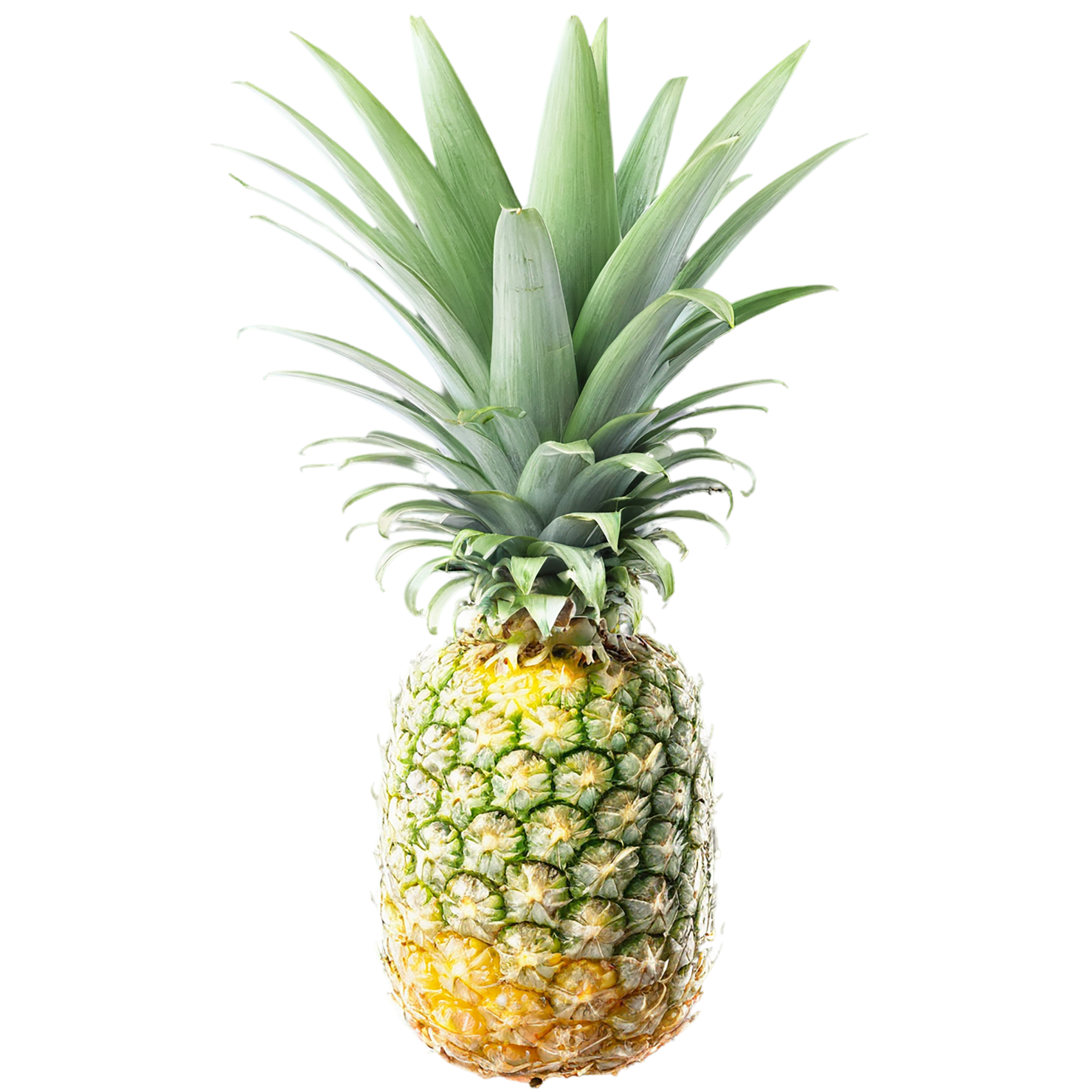 Pineapple fruit isolated on transparent background #1505
