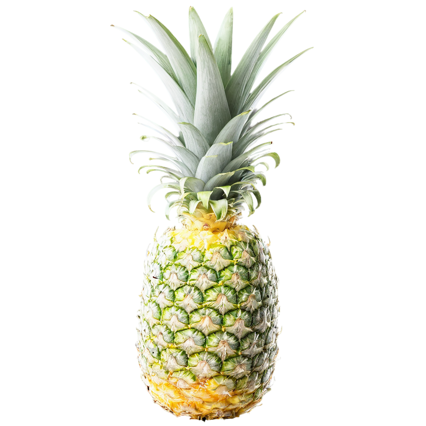 Pineapple fruit isolated on transparent background #1507