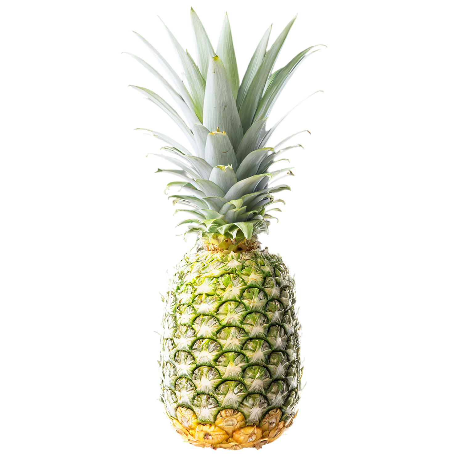 Pineapple fruit isolated on transparent background #1508