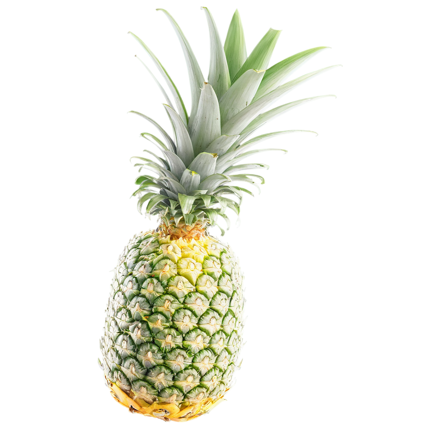 Pineapple fruit isolated on transparent background #1510