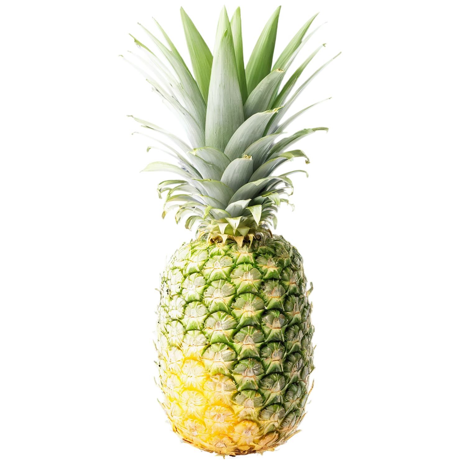 Pineapple fruit isolated on transparent background #1511