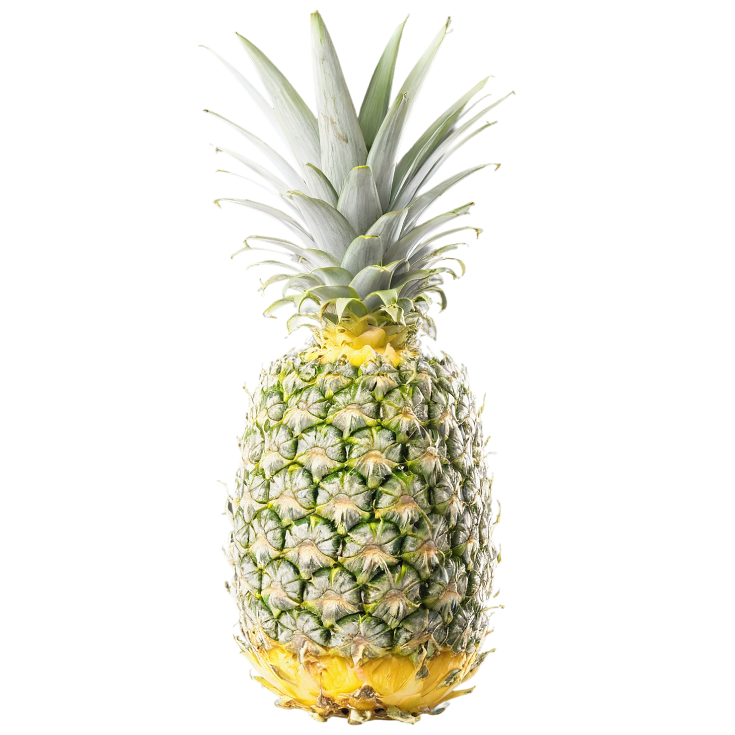 Pineapple fruit isolated on transparent background #1512