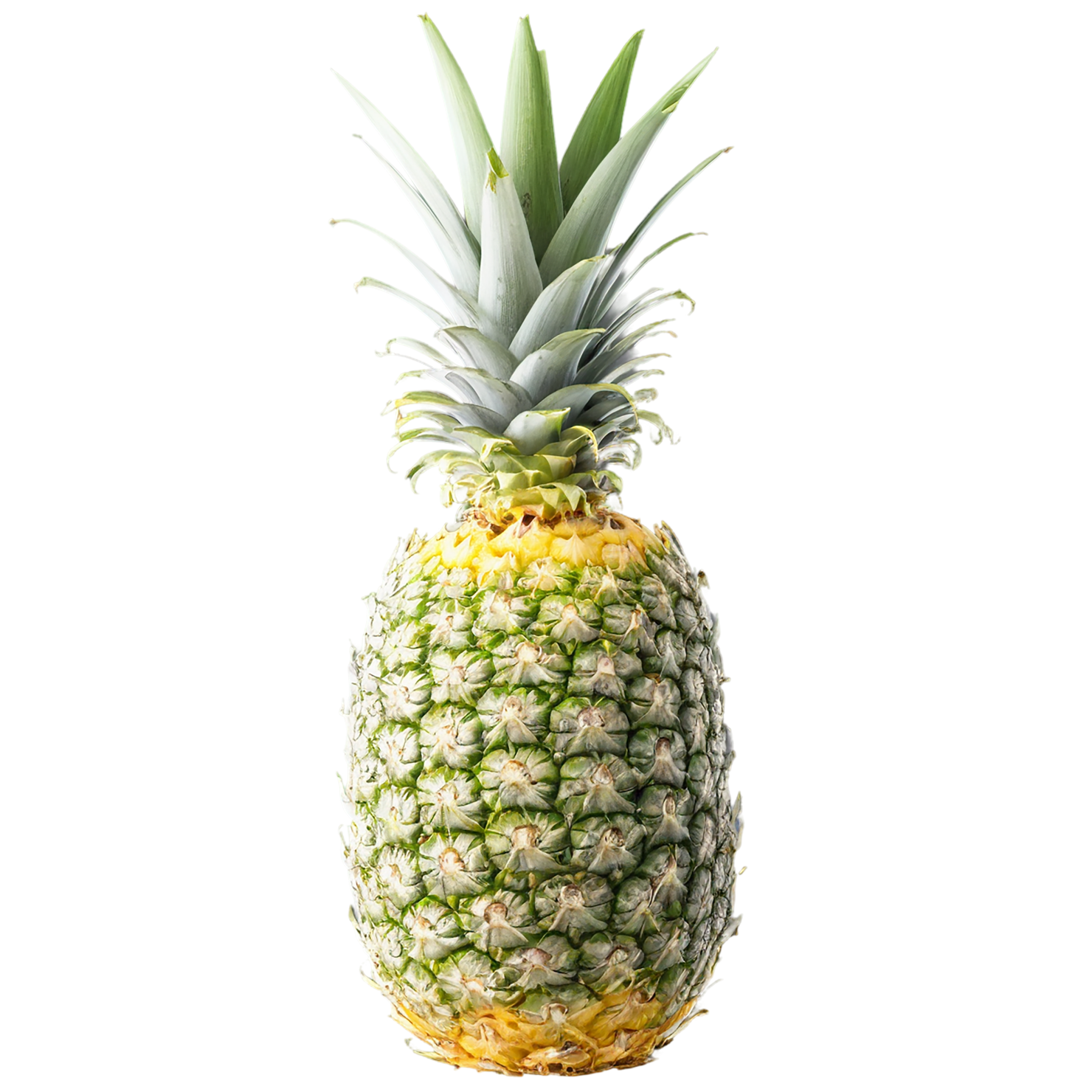 Pineapple fruit isolated on transparent background #1514