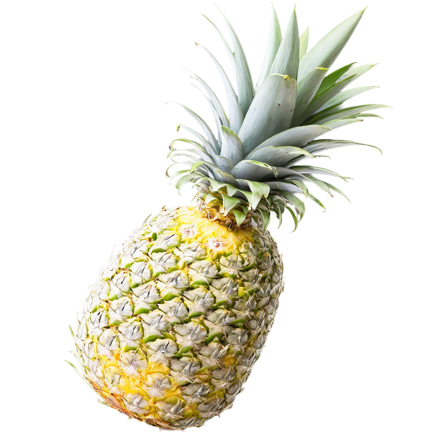 Pineapple fruit isolated on transparent background #1516
