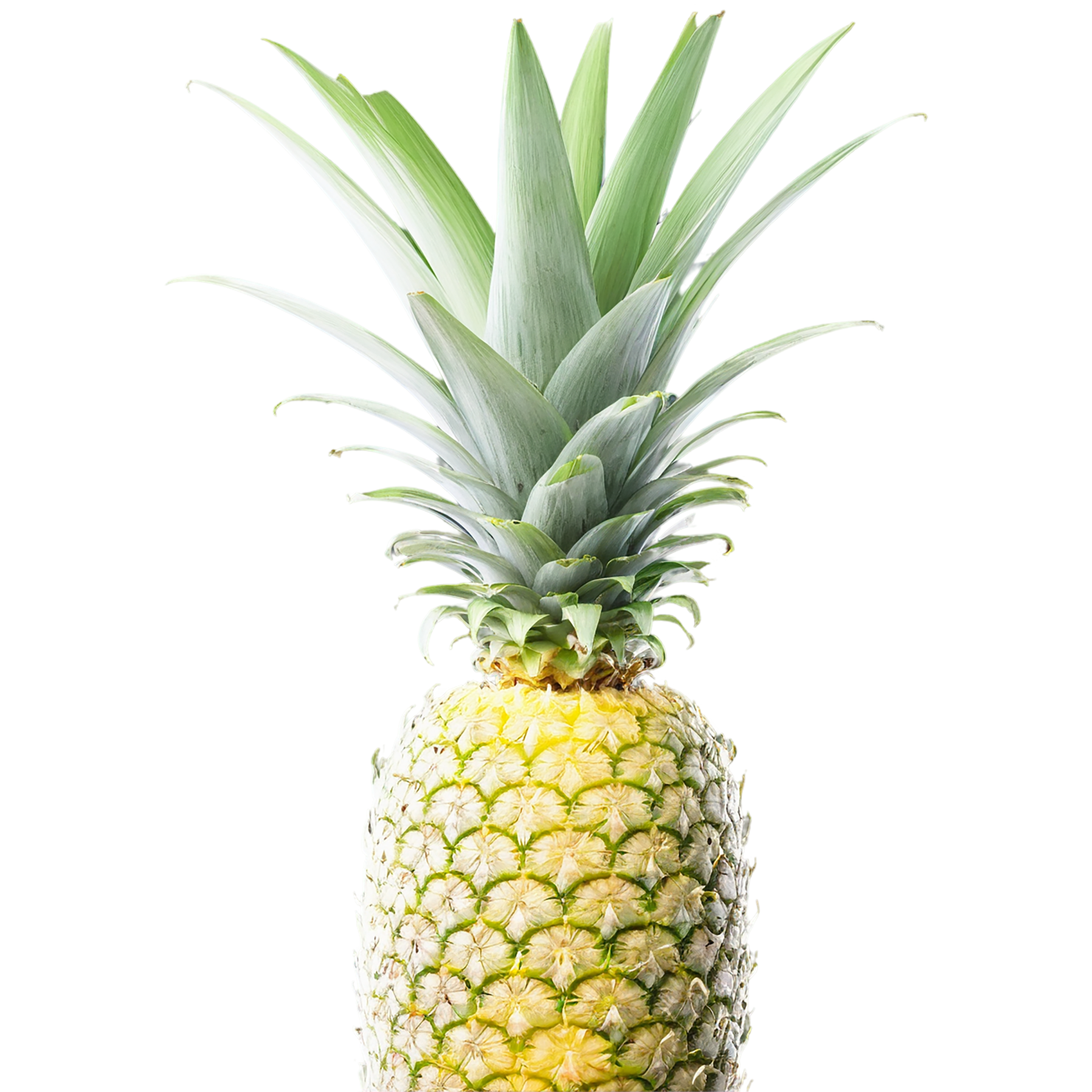 Pineapple fruit isolated on transparent background #1517
