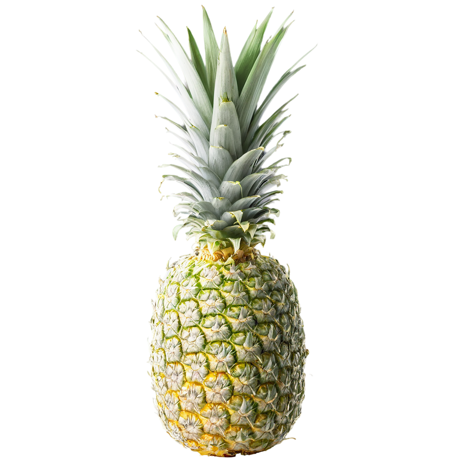 Pineapple fruit isolated on transparent background #1518