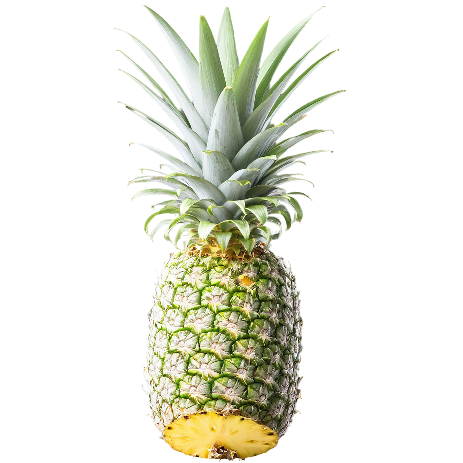 Pineapple fruit isolated on transparent background #1520