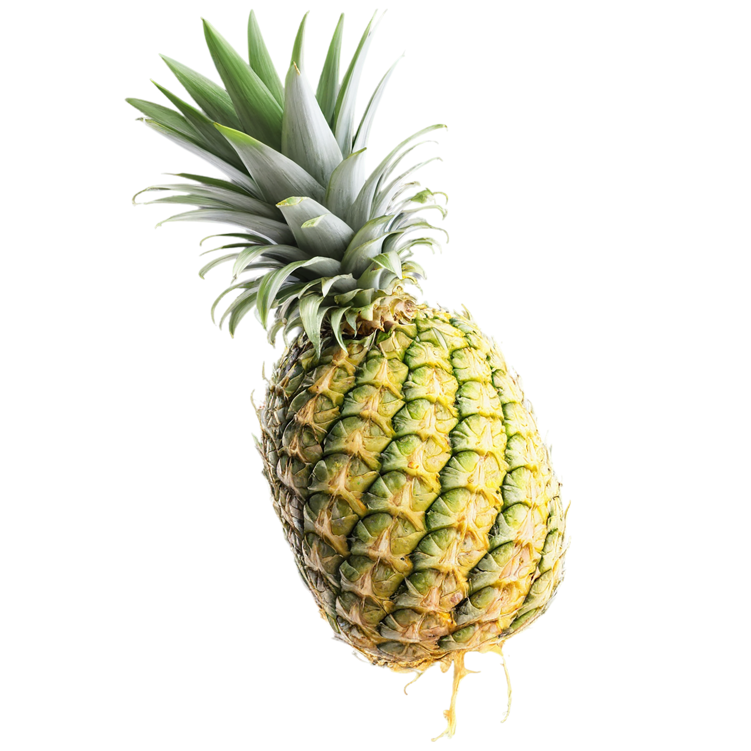 Pineapple fruit isolated on transparent background #1522