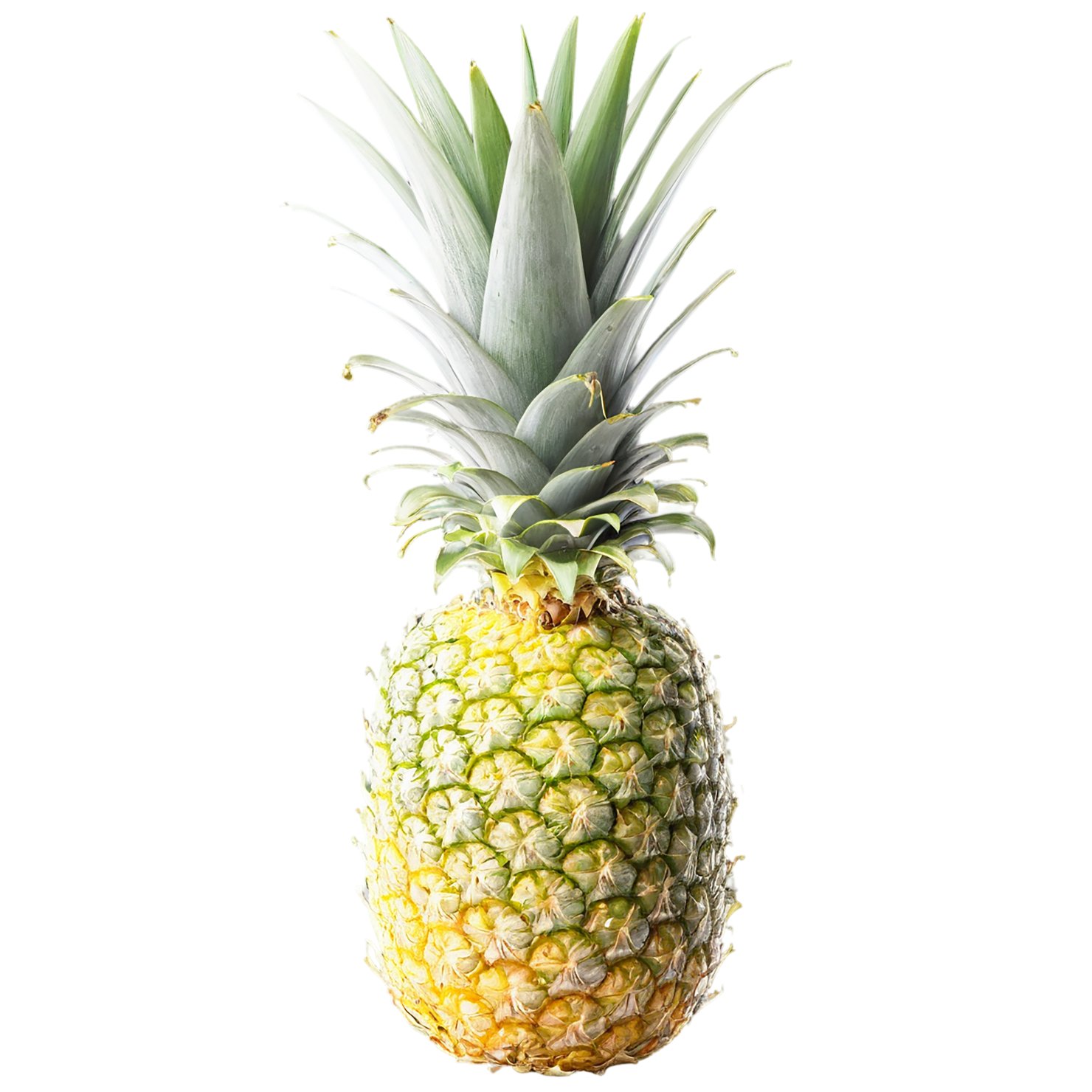 Pineapple fruit isolated on transparent background #1526