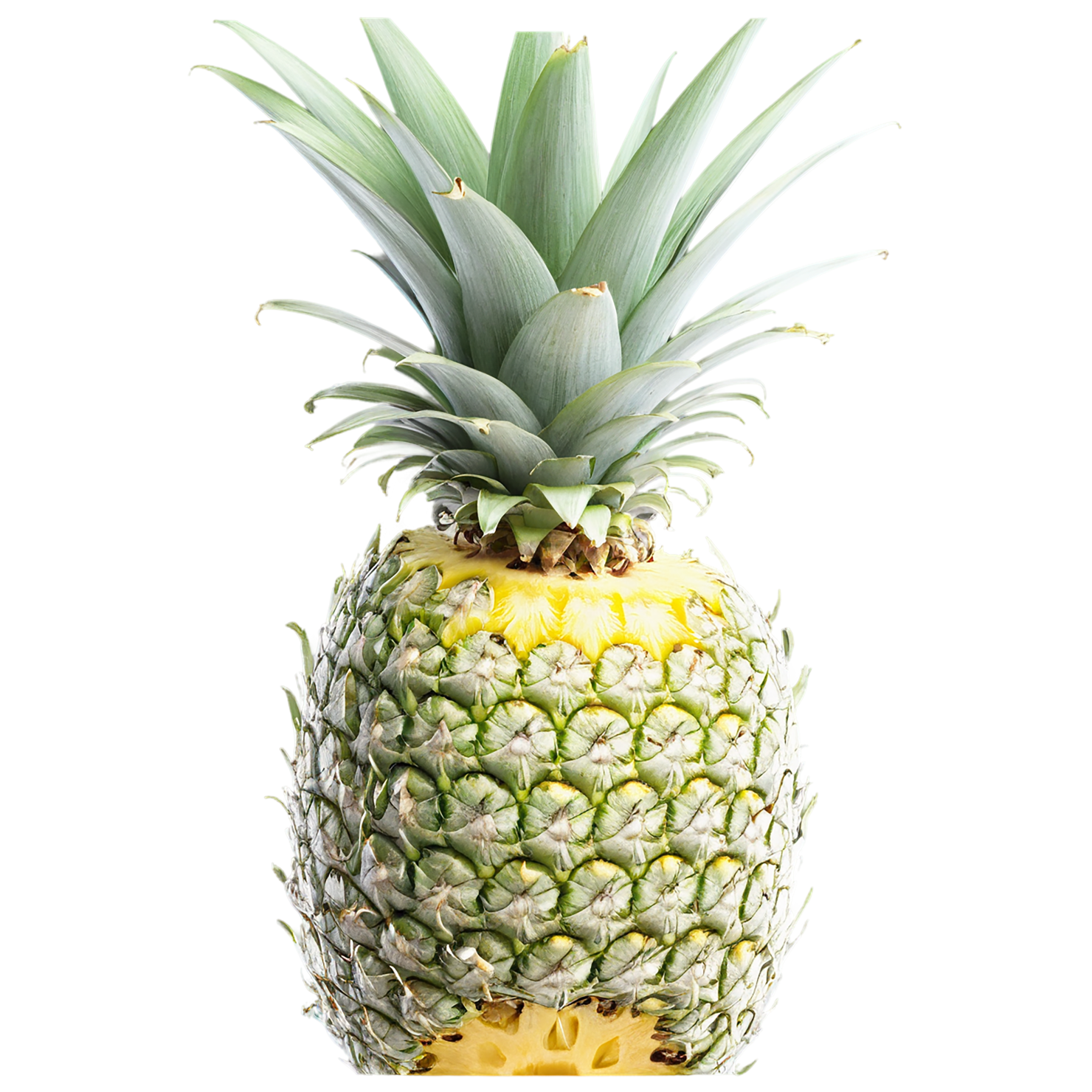 Pineapple fruit isolated on transparent background #1527