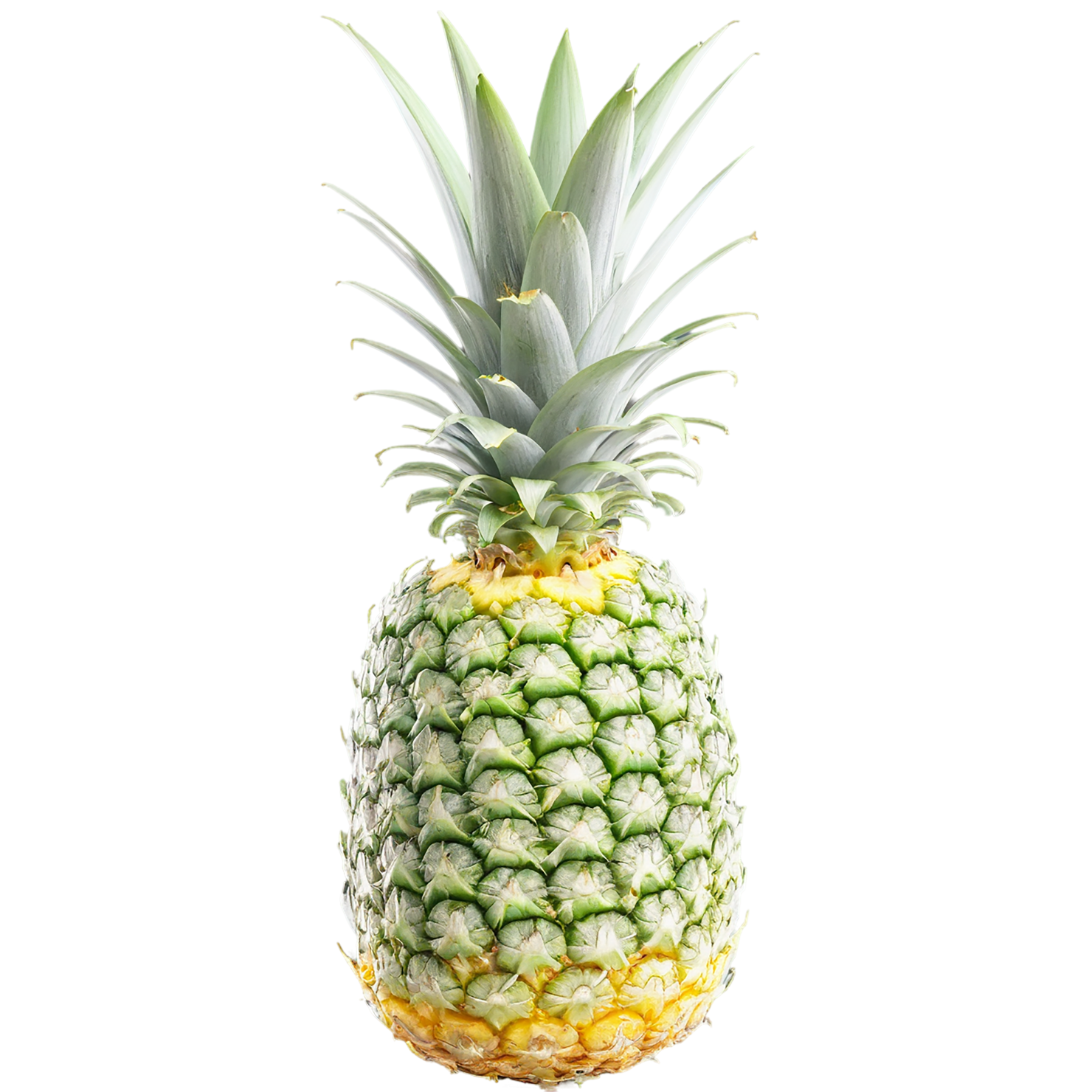 Pineapple fruit isolated on transparent background #1529