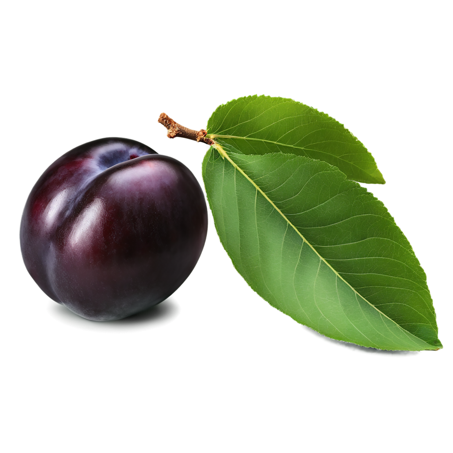 Plum fruit with leaf isolated on transparent background #1532
