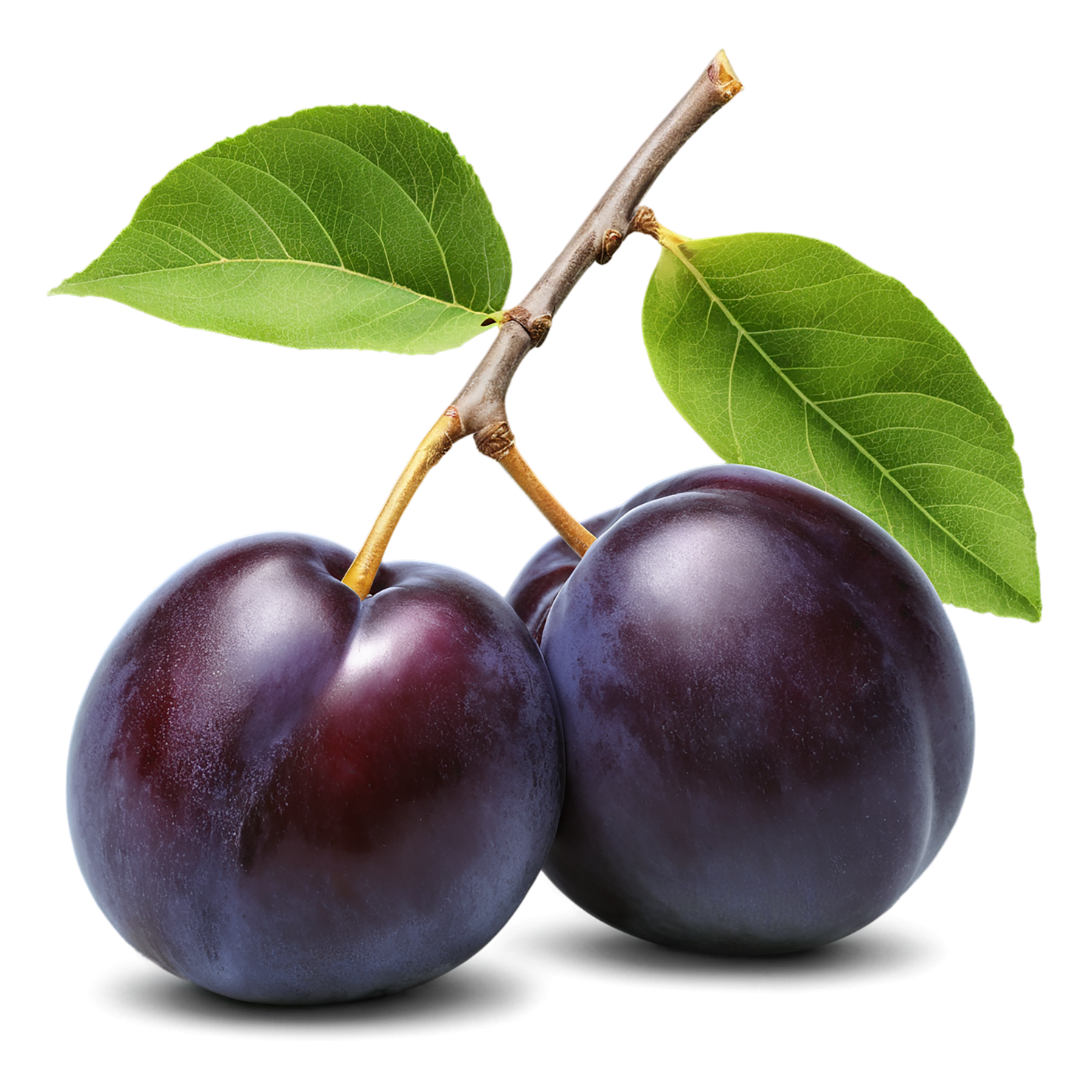 Plum fruit with leaf isolated on transparent background #1546