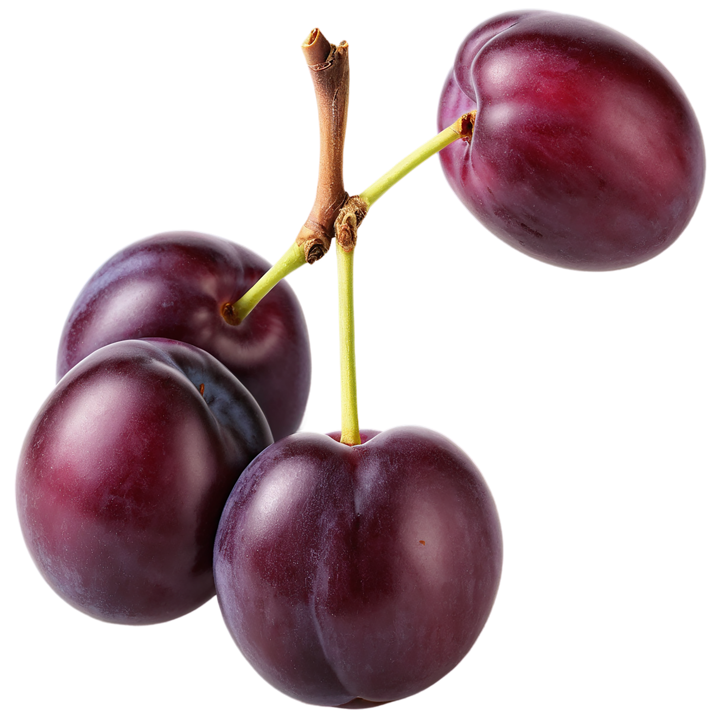 Plum fruit isolated on transparent background #1614