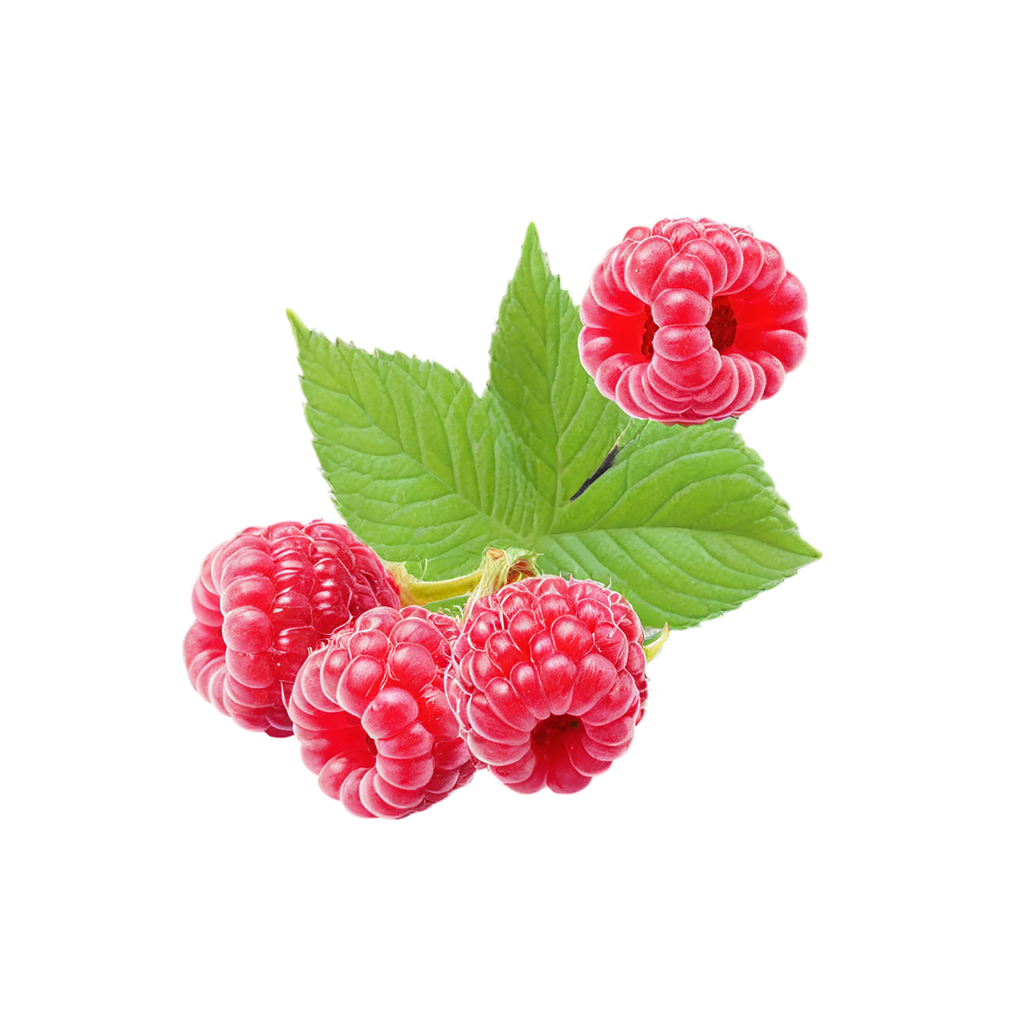 Raspberry fruit with leaf isolated on transparent background #1631