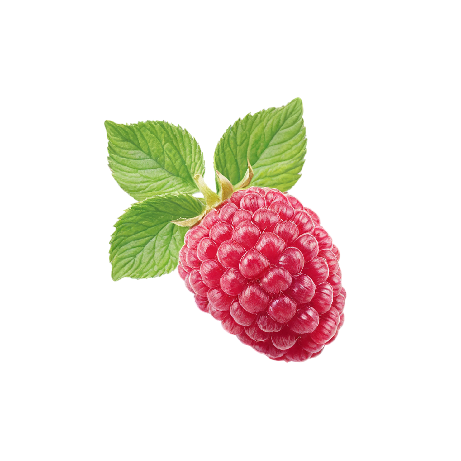 Raspberry fruit with leaf isolated on transparent background #1647