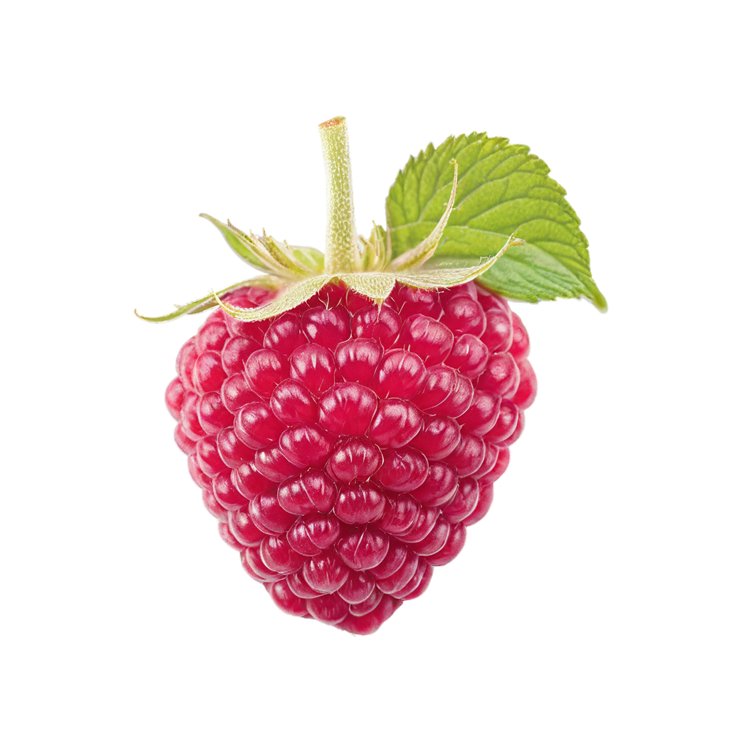 Raspberry fruit with leaf isolated on transparent background #1653
