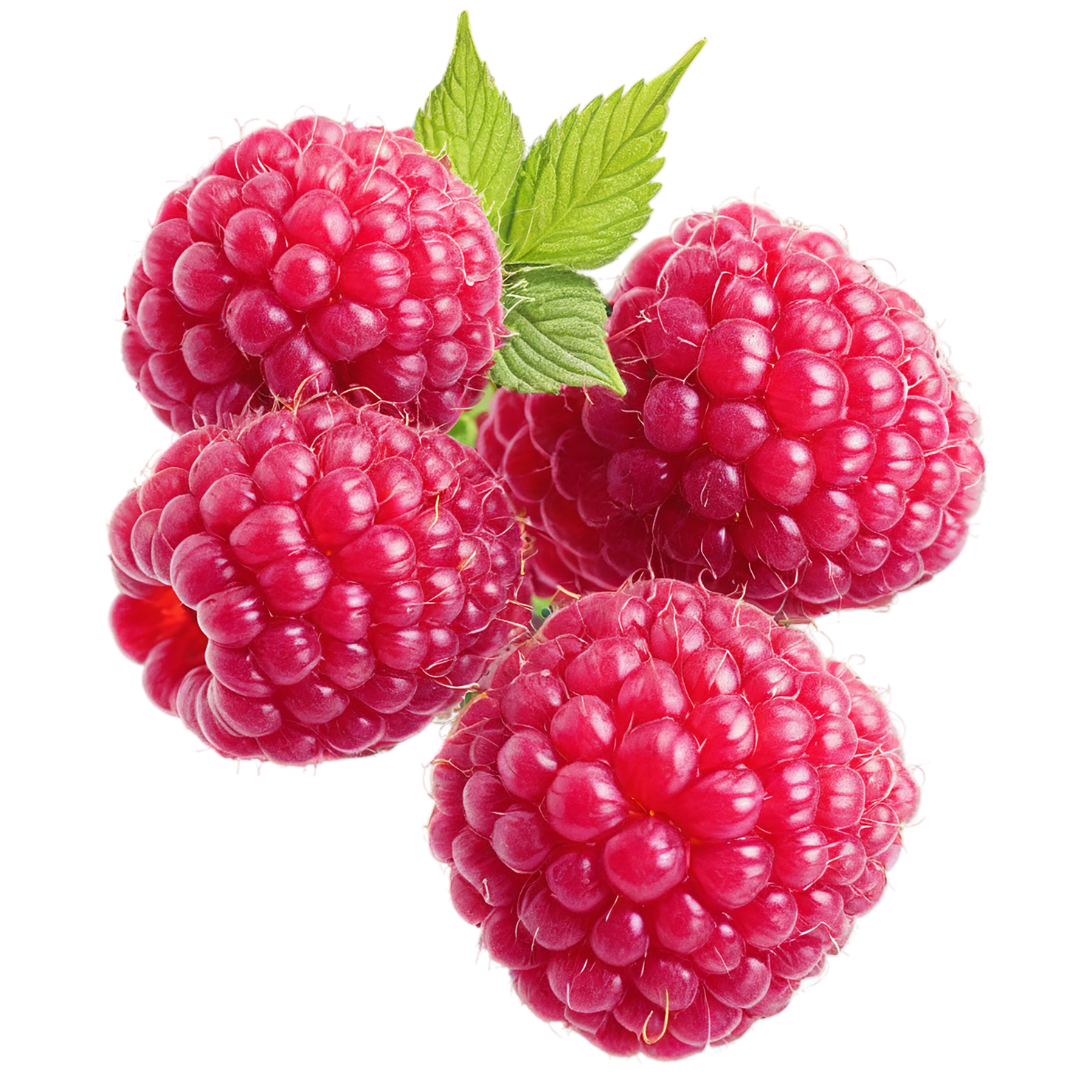 Raspberry fruit with leaf isolated on transparent background #1655