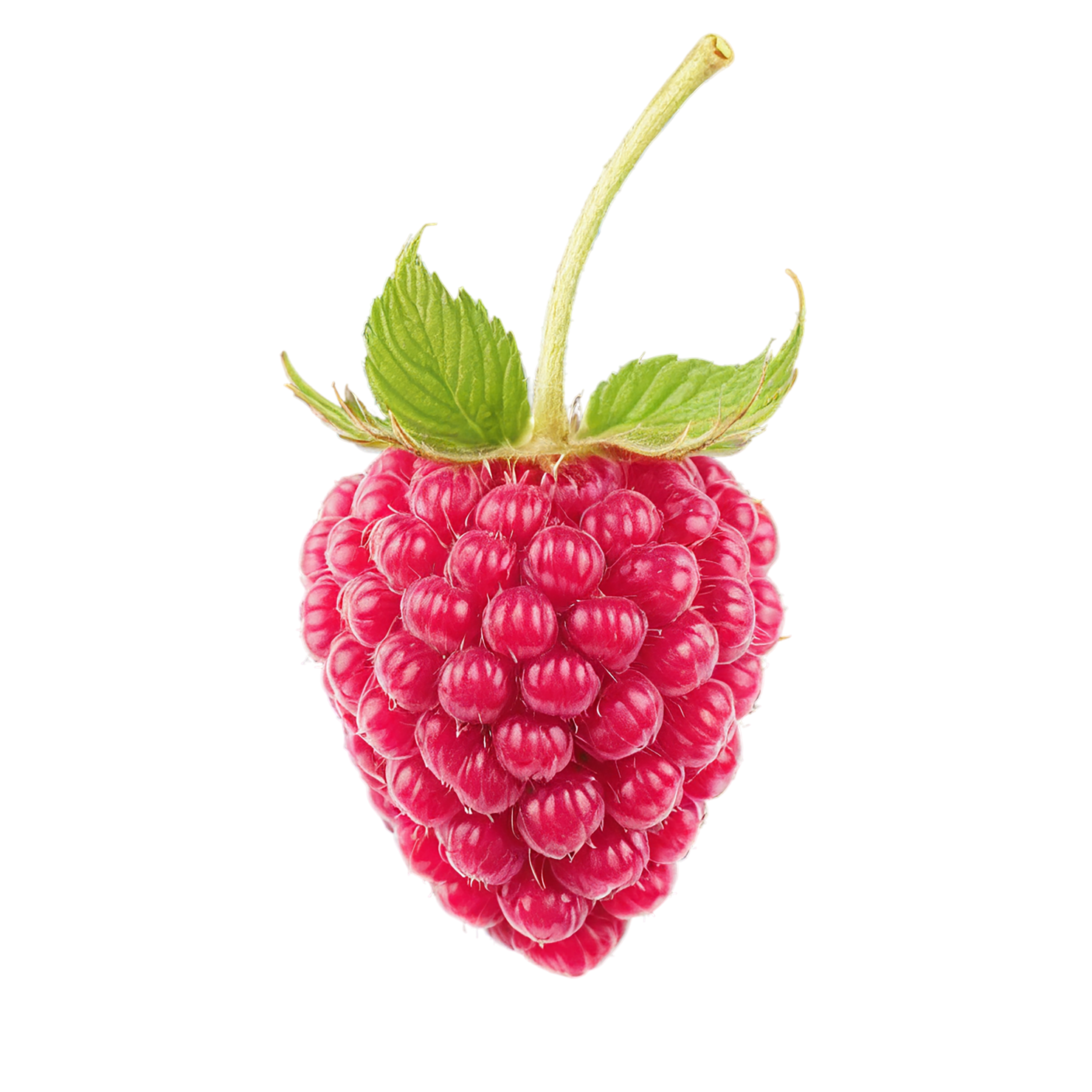 Raspberry fruit with leaf isolated on transparent background #1656