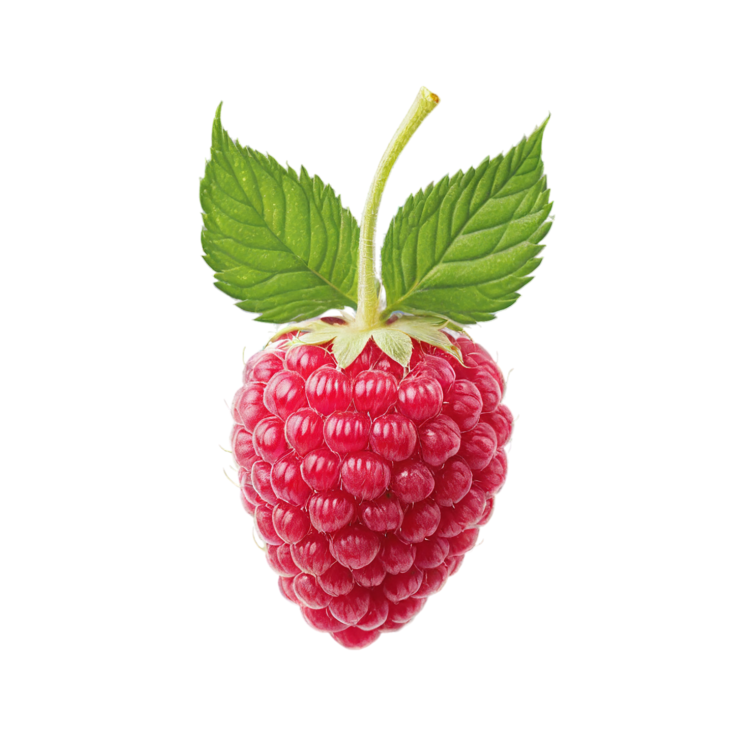 Raspberry fruit with leaf isolated on transparent background #1663