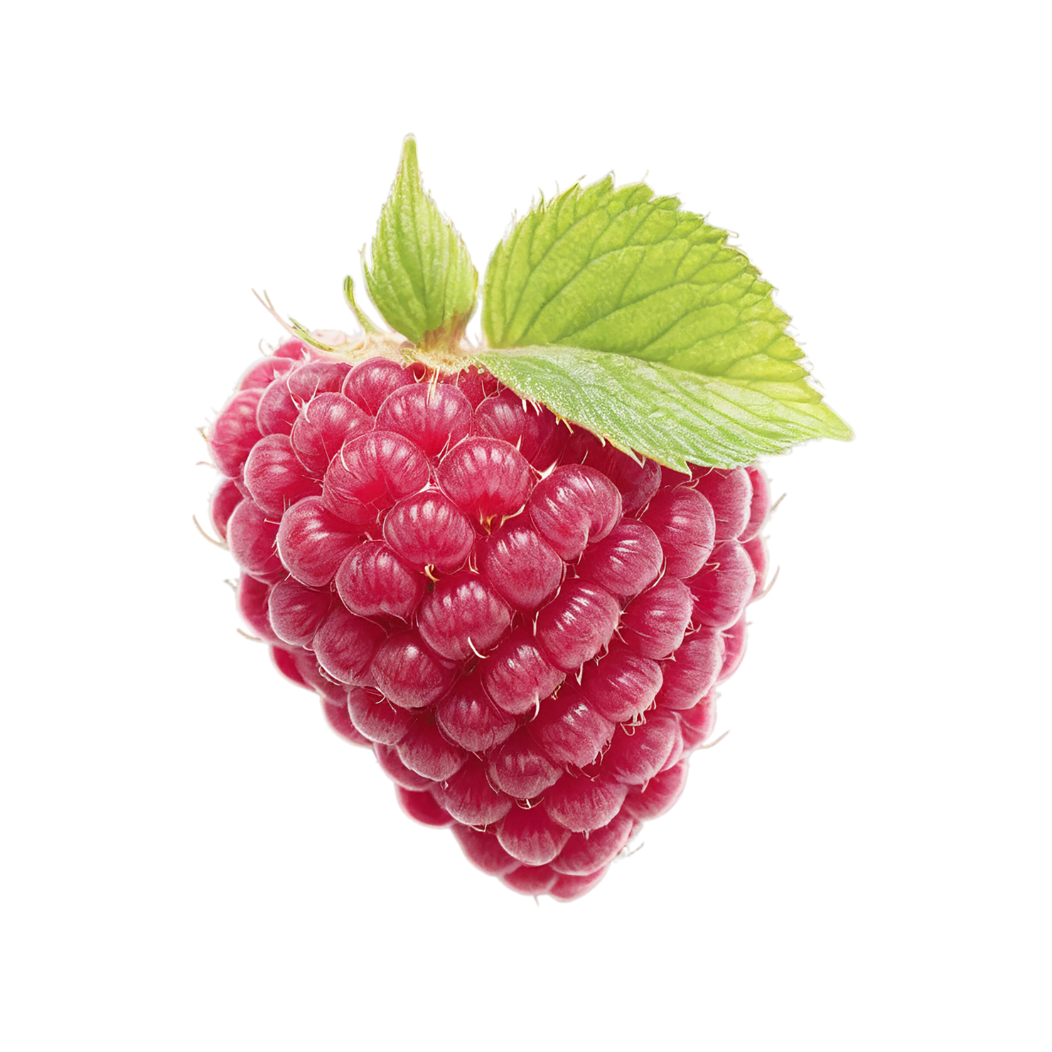 Raspberry fruit with leaf isolated on transparent background #1664