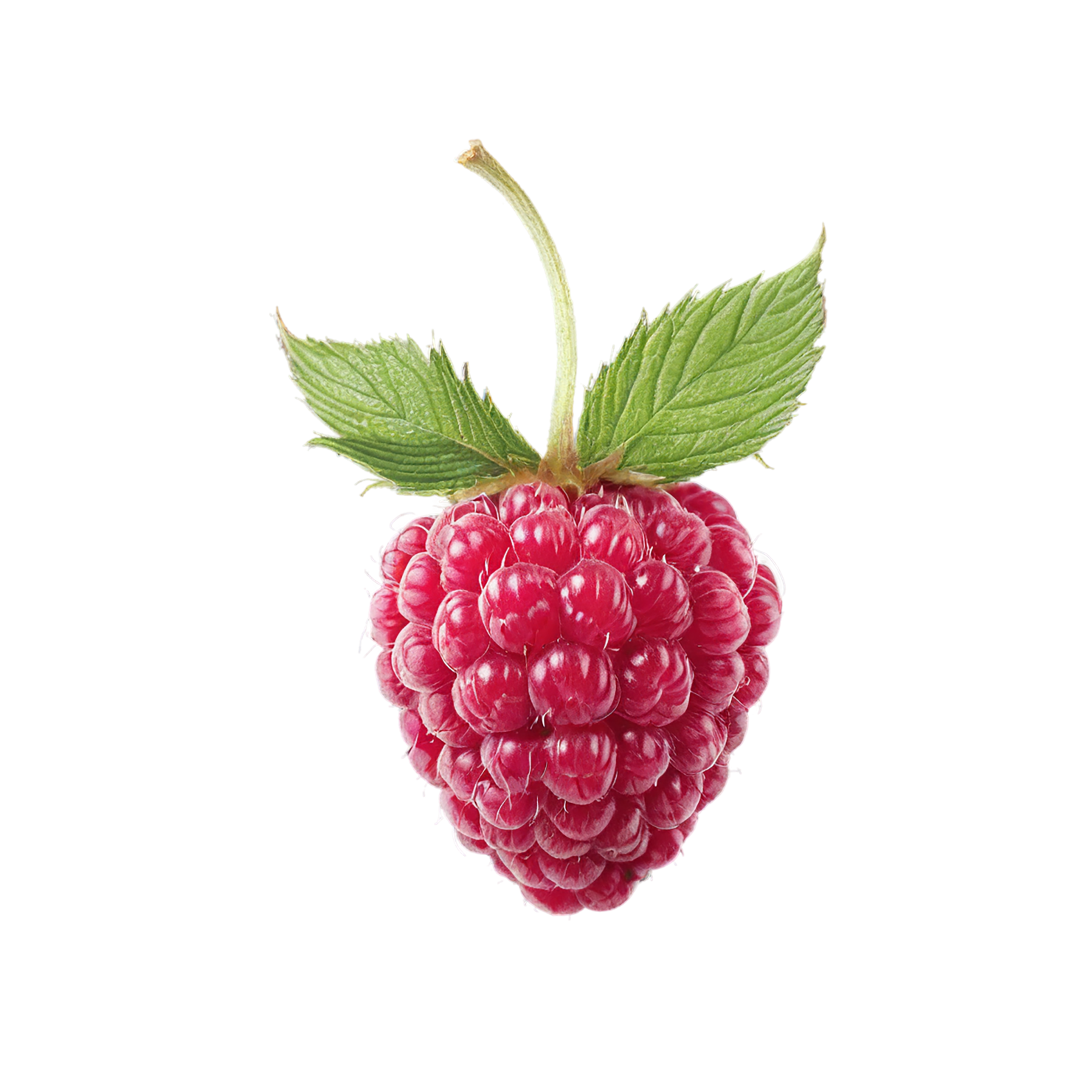 Raspberry fruit with leaf isolated on transparent background #1665