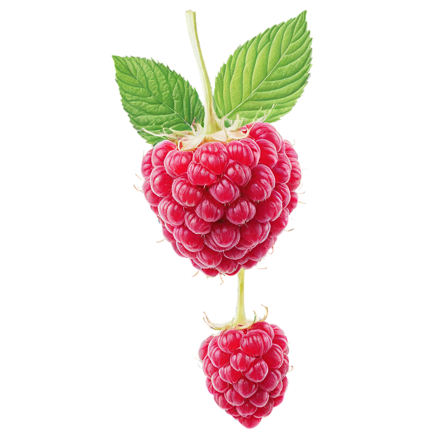 Raspberry fruit with leaf isolated on transparent background #1671