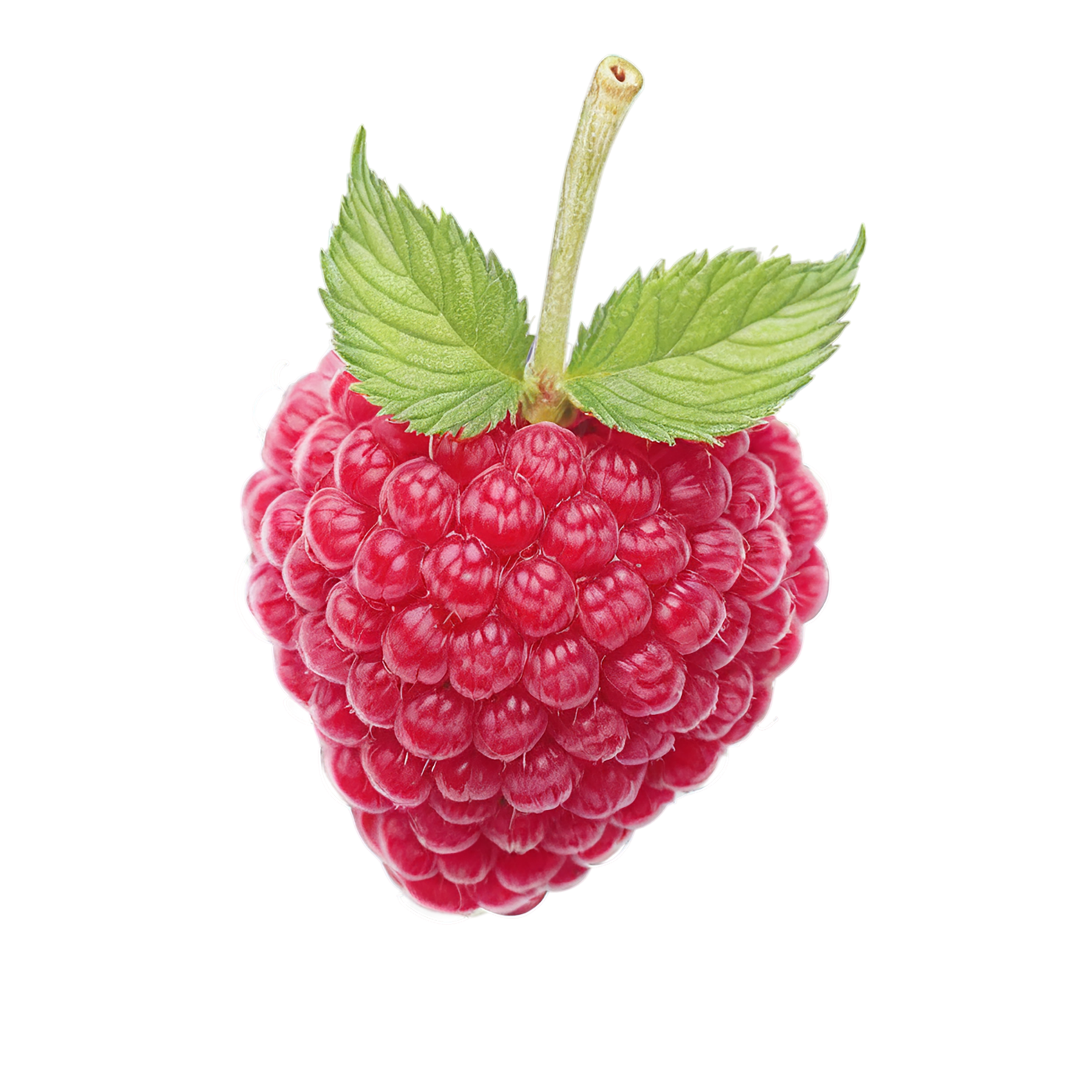 Raspberry fruit with leaf isolated on transparent background #1673