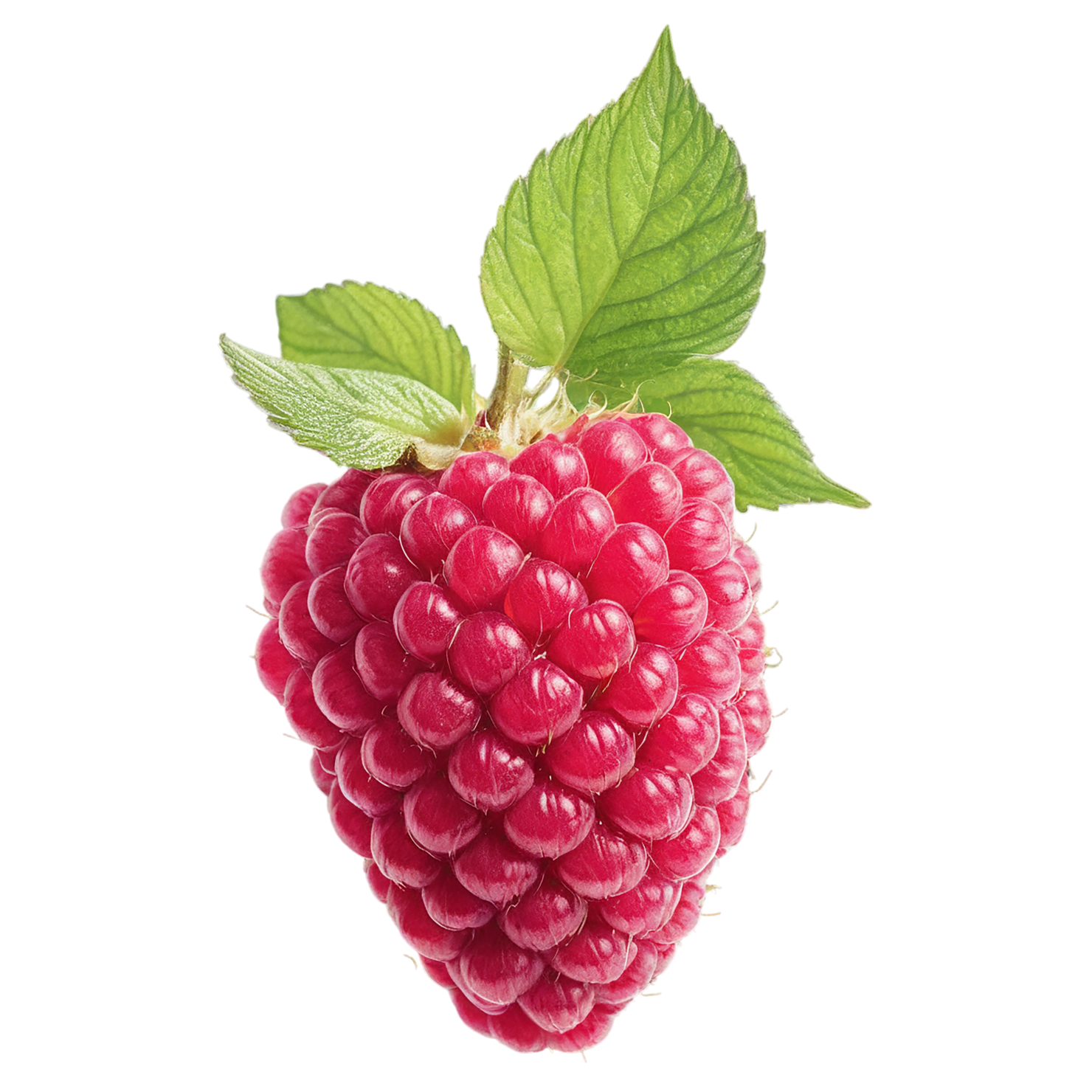 Raspberry fruit with leaf isolated on transparent background #1681