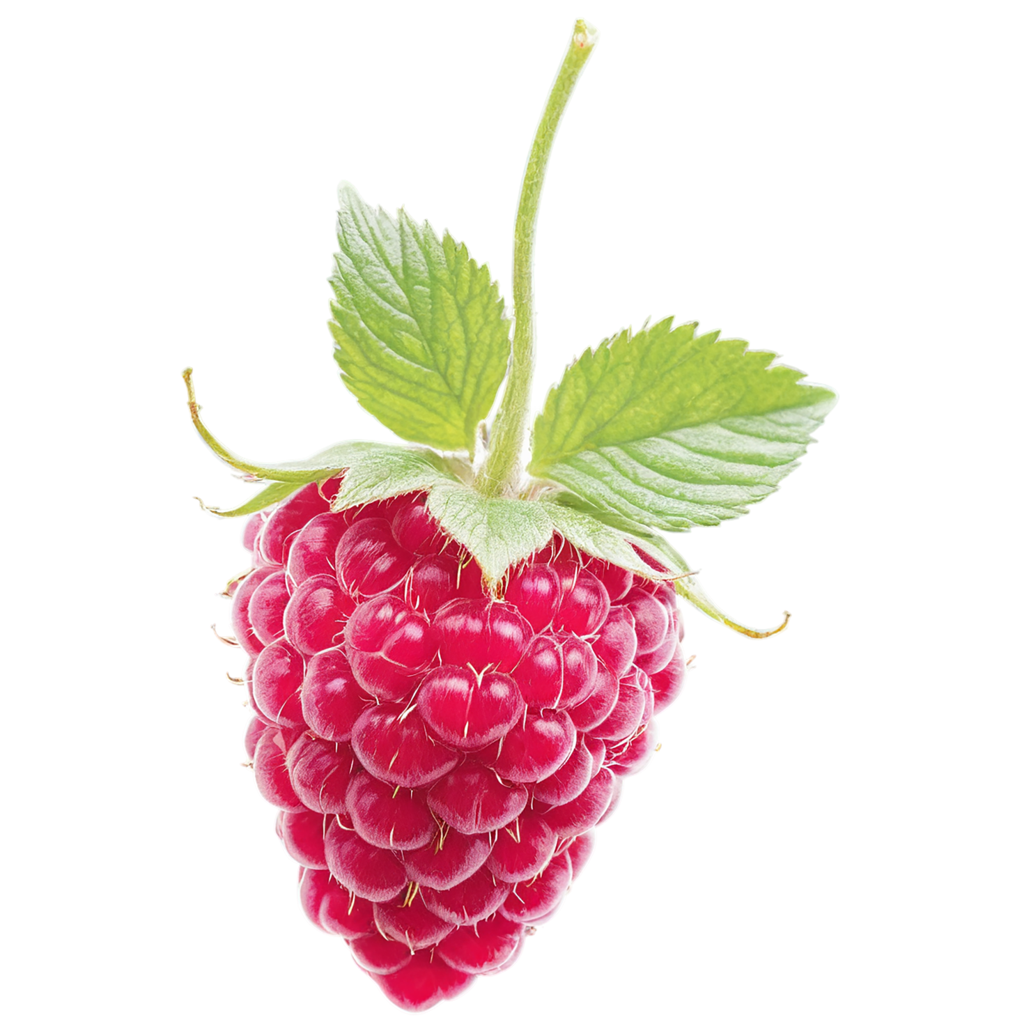 Raspberry fruit with leaf isolated on transparent background #1682