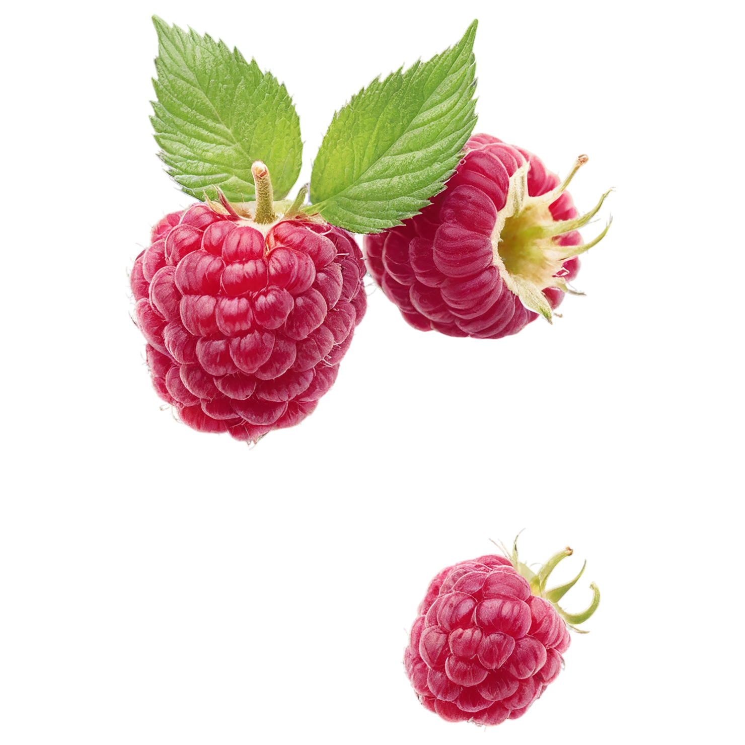 Raspberry fruit with leaf isolated on transparent background #1683