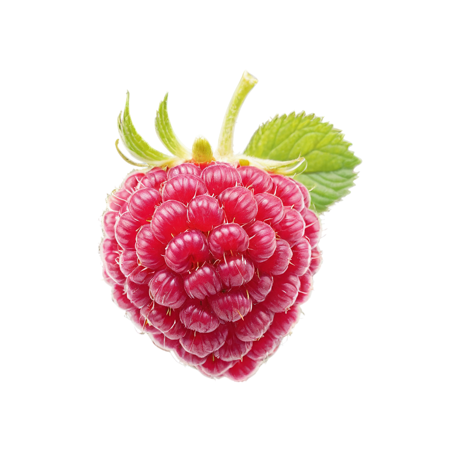 Raspberry fruit with leaf isolated on transparent background #1684