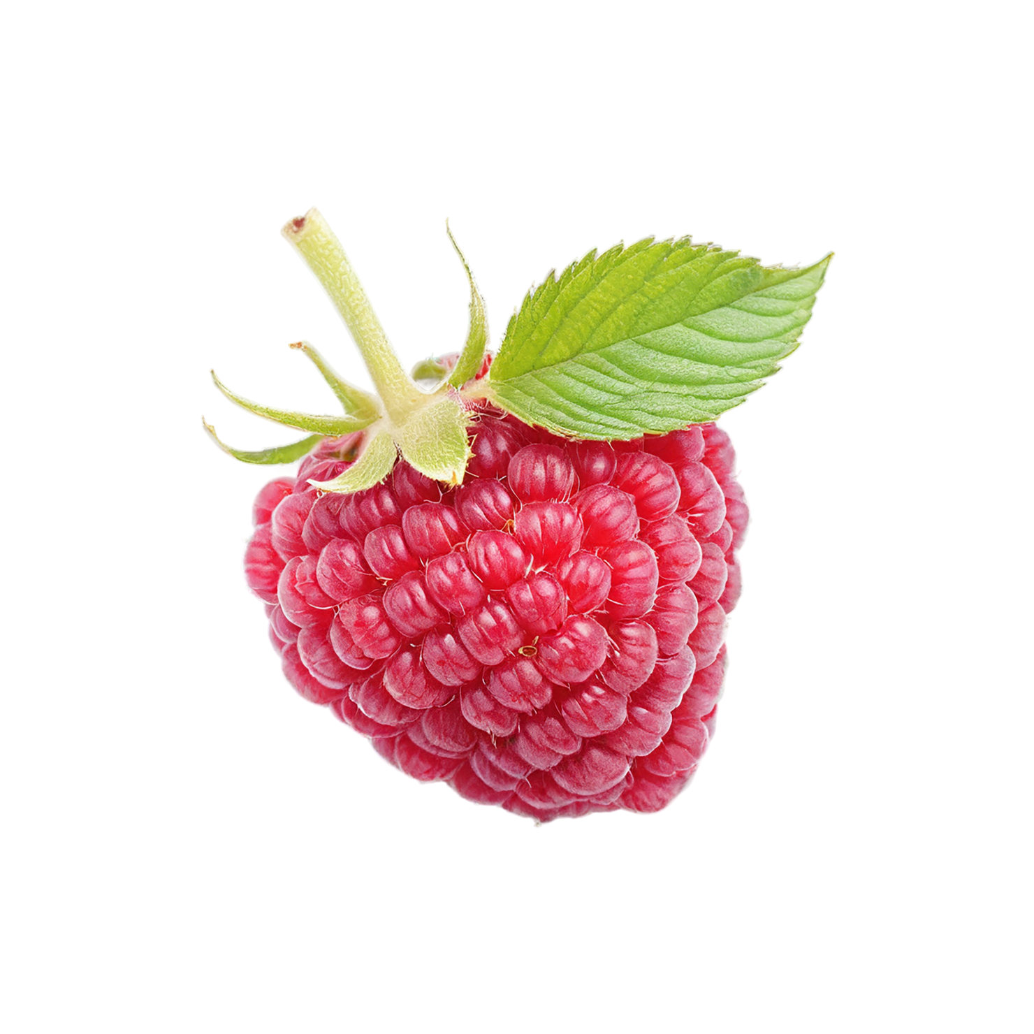 Raspberry fruit with leaf isolated on transparent background #1686
