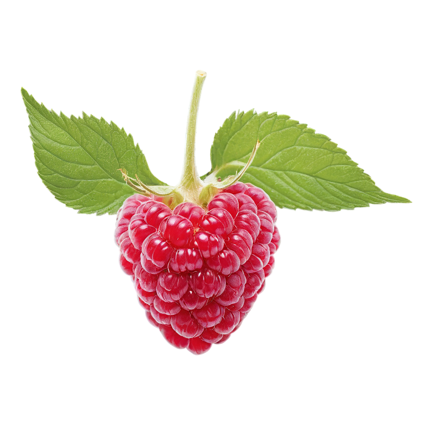 Raspberry fruit with leaf isolated on transparent background #1688