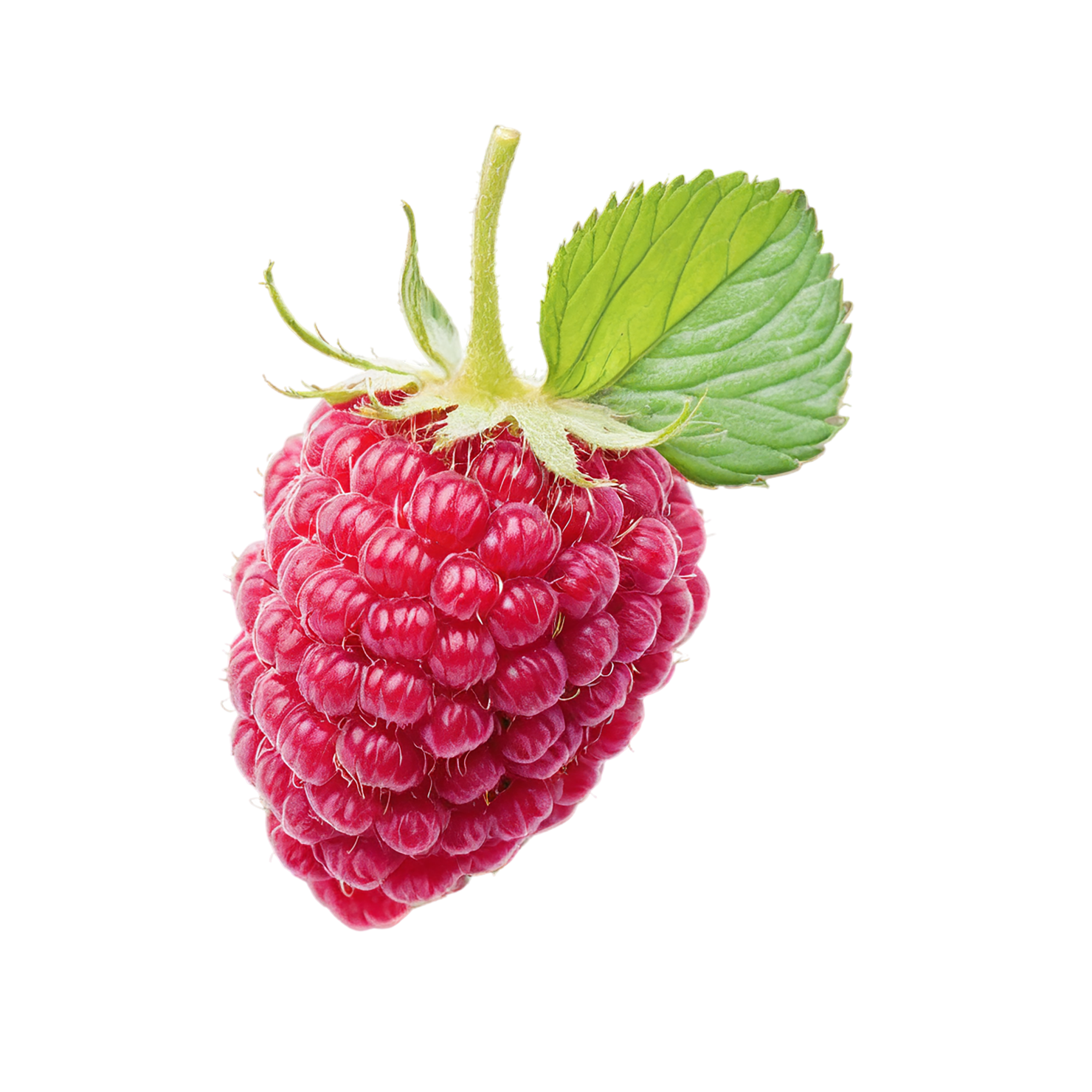 Raspberry fruit with leaf isolated on transparent background #1692