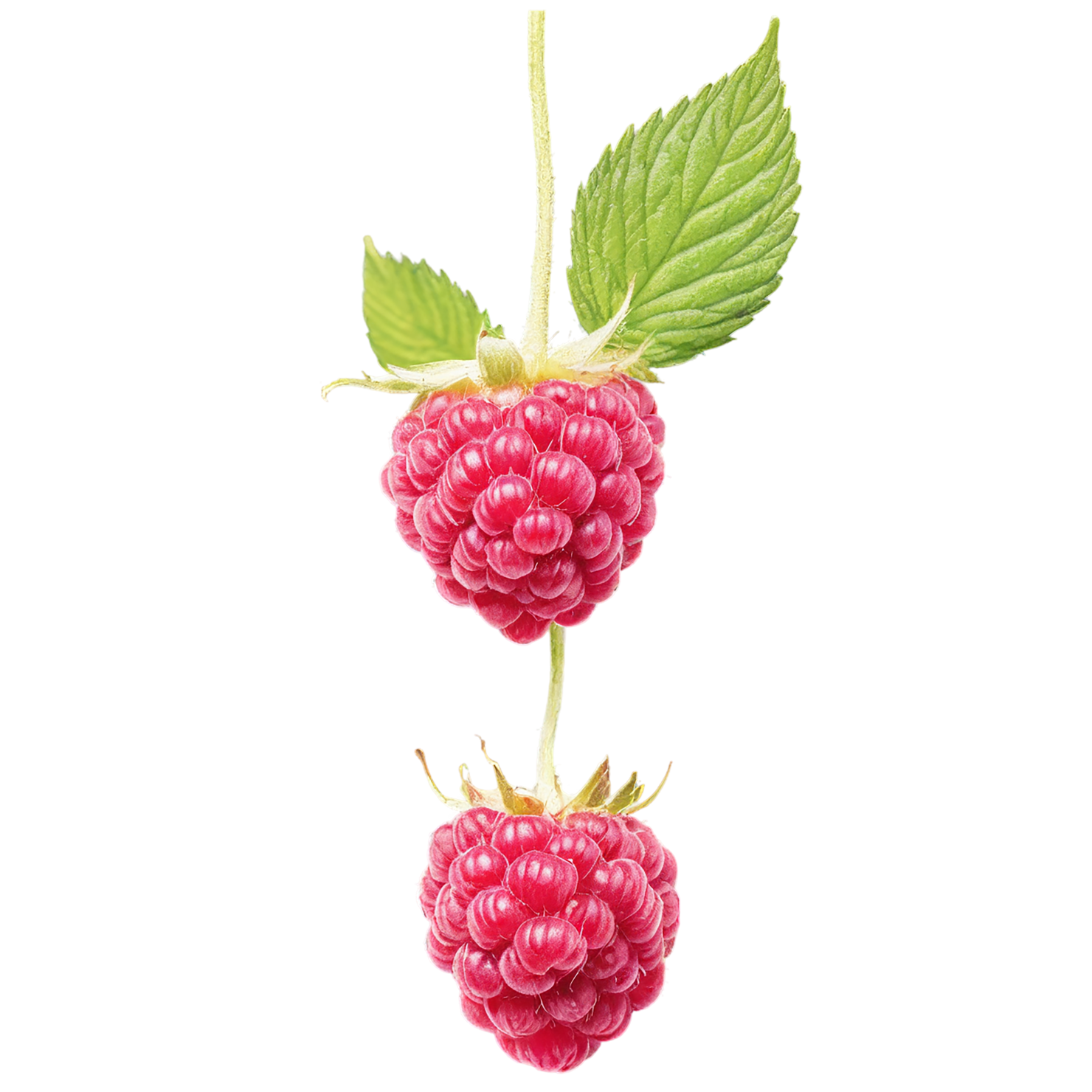 Raspberry fruit with leaf isolated on transparent background #1693