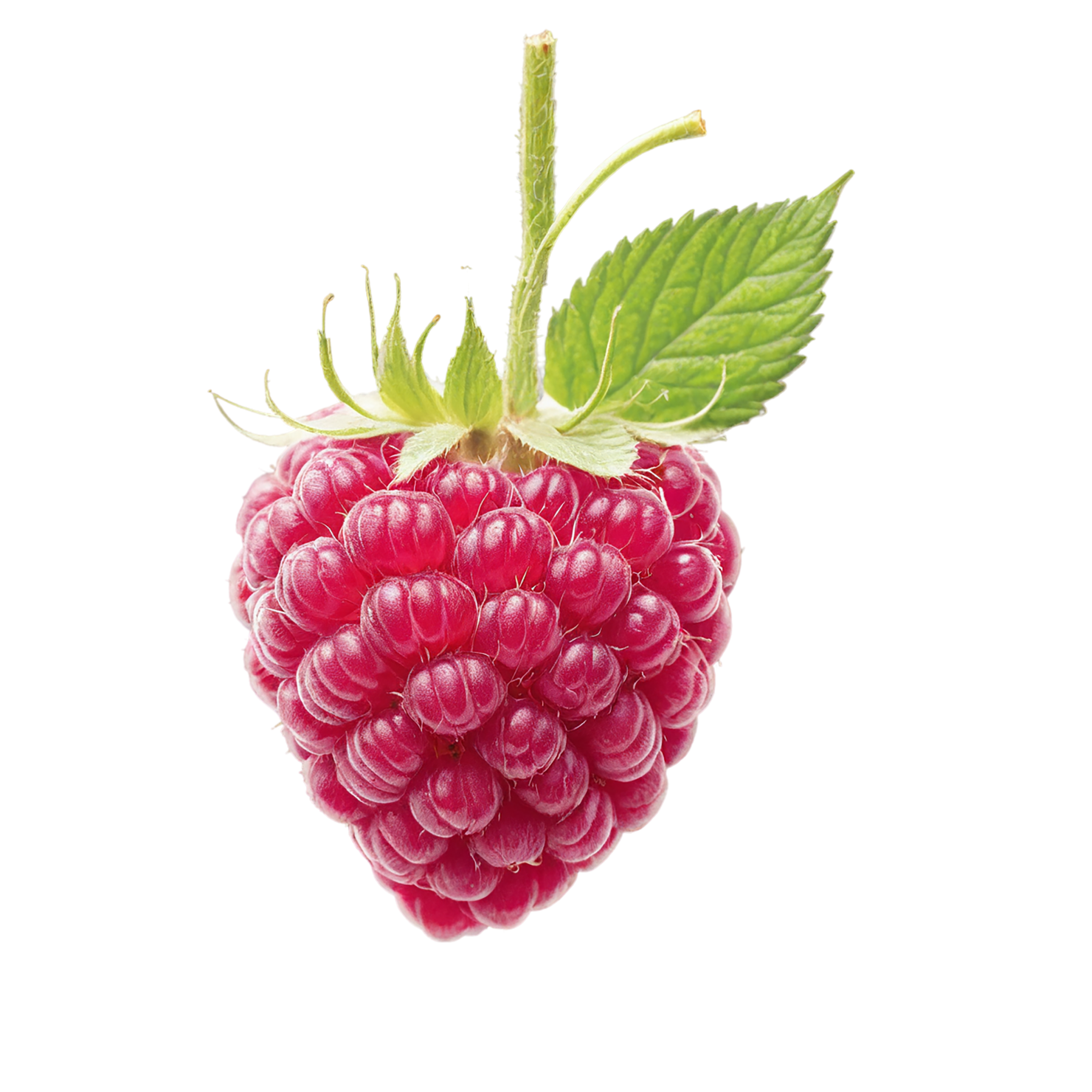 Raspberry fruit with leaf isolated on transparent background #1698