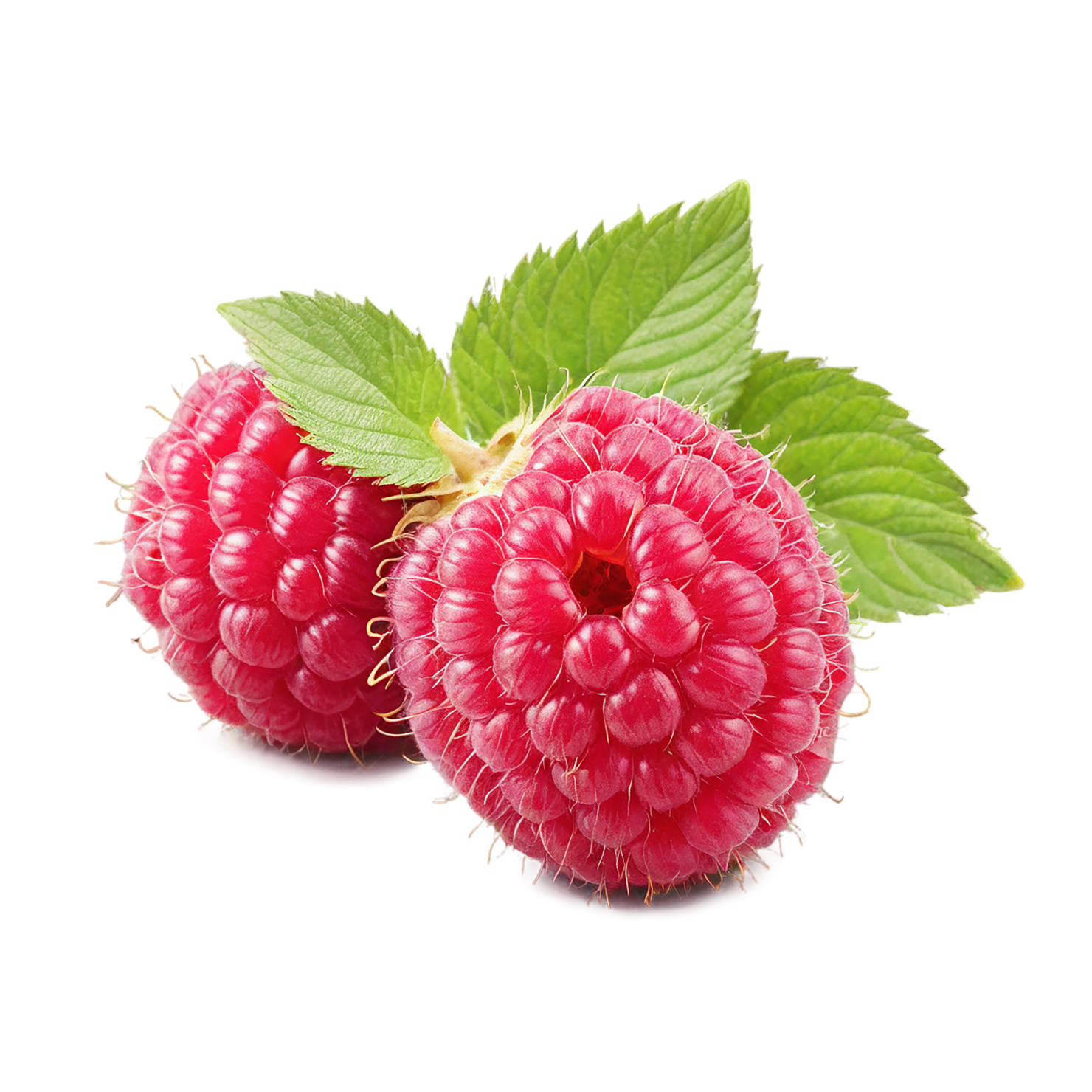 Raspberry fruit with leaf isolated on transparent background #1699
