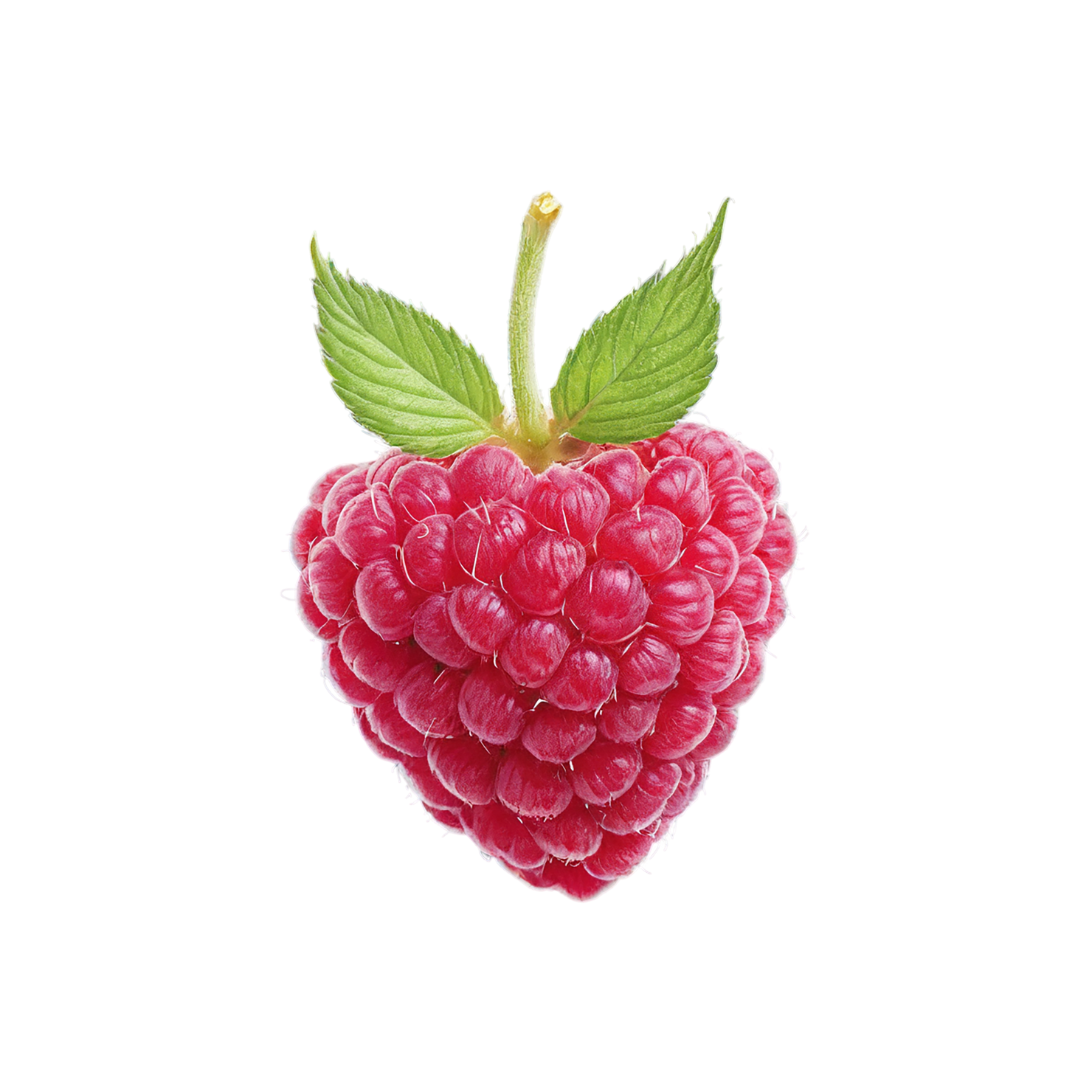 Raspberry fruit with leaf isolated on transparent background #1700