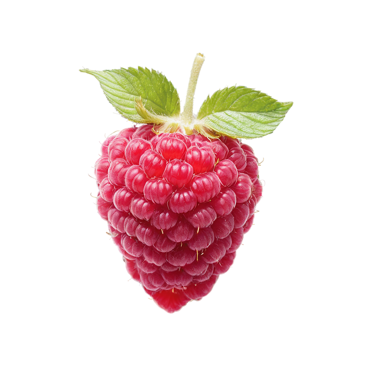 Raspberry fruit with leaf isolated on transparent background #1706
